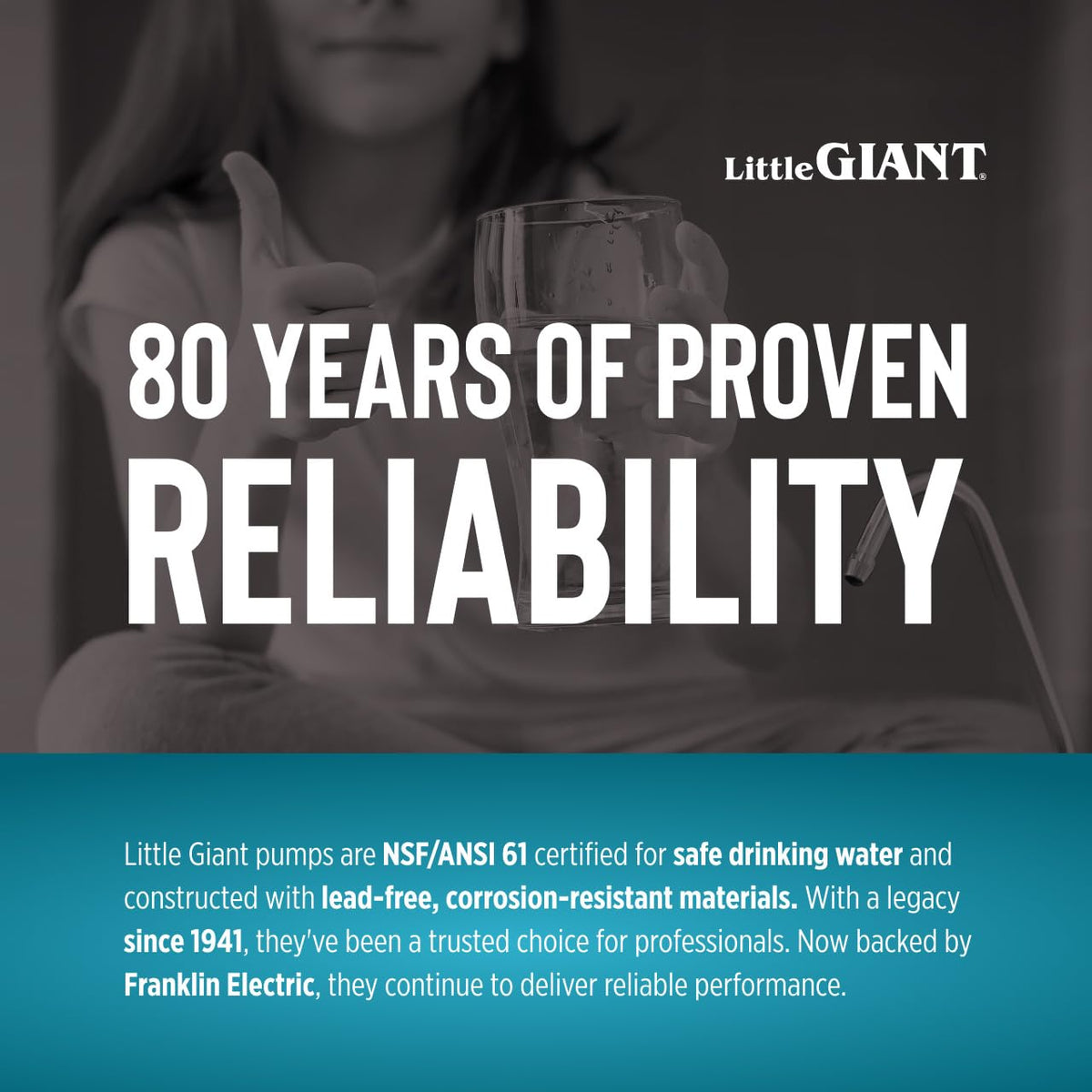 Little Giant 16G-M151-20 1 HP, 52 GPM, 1 Phase, 115 Volt, Manual Cast Iron Submersible Grinder Pump with 20-Ft. Cord, Blue, 509809
