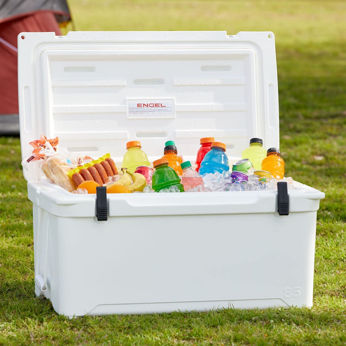 Engel ENG85 76 Quart High-Performance Low-Profile Hard Cooler and Ice Box White