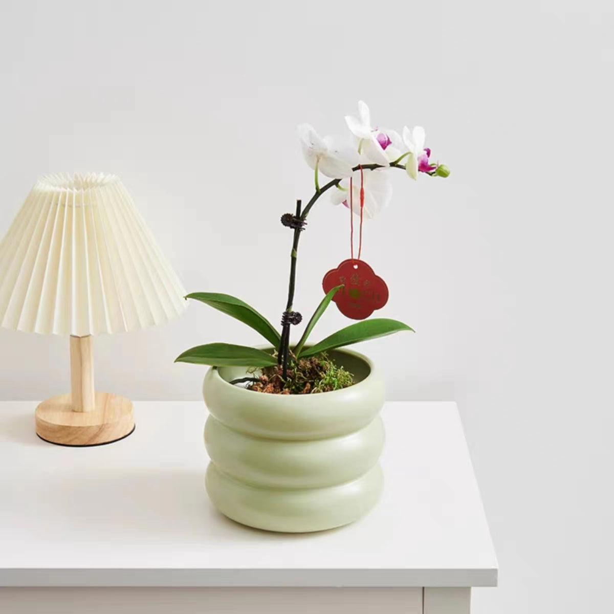 SANDYBAYTAS Ceramic Plant Pot Indoor, 4.5 Inch Flower Pot with Drainage Hole, Small Bubble Design Ceramic Planter for Home & Office Decor (Green)