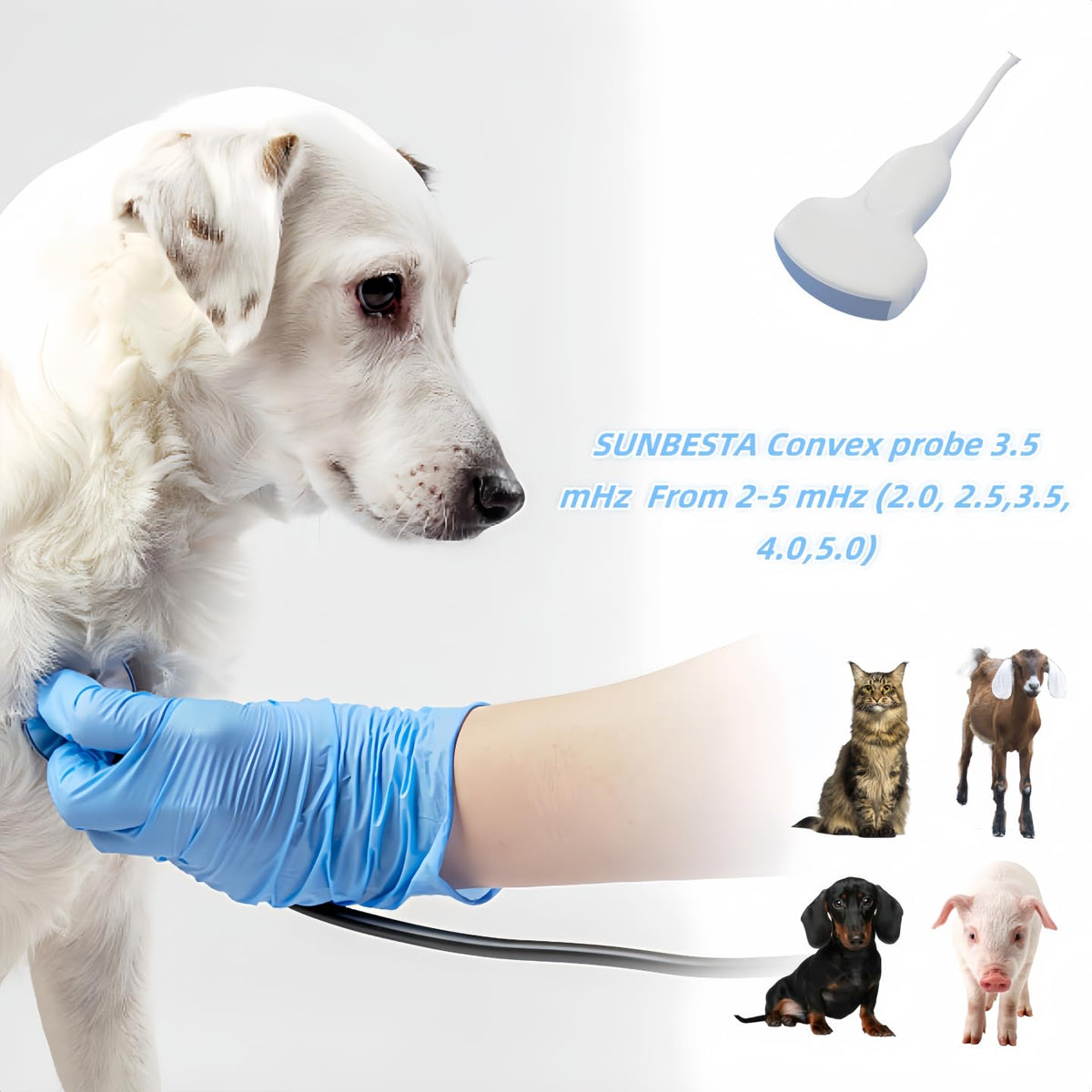 SUNBESTA Veterinary Ultrasound Machine A20, 3.5MHz Convex Probe, Aluminum Alloy Design, Rechargeable+ Carrying case, Friendly to Beginners, for Dog Kennels, Pig Farm and Sheep Farm Pregnancy Check