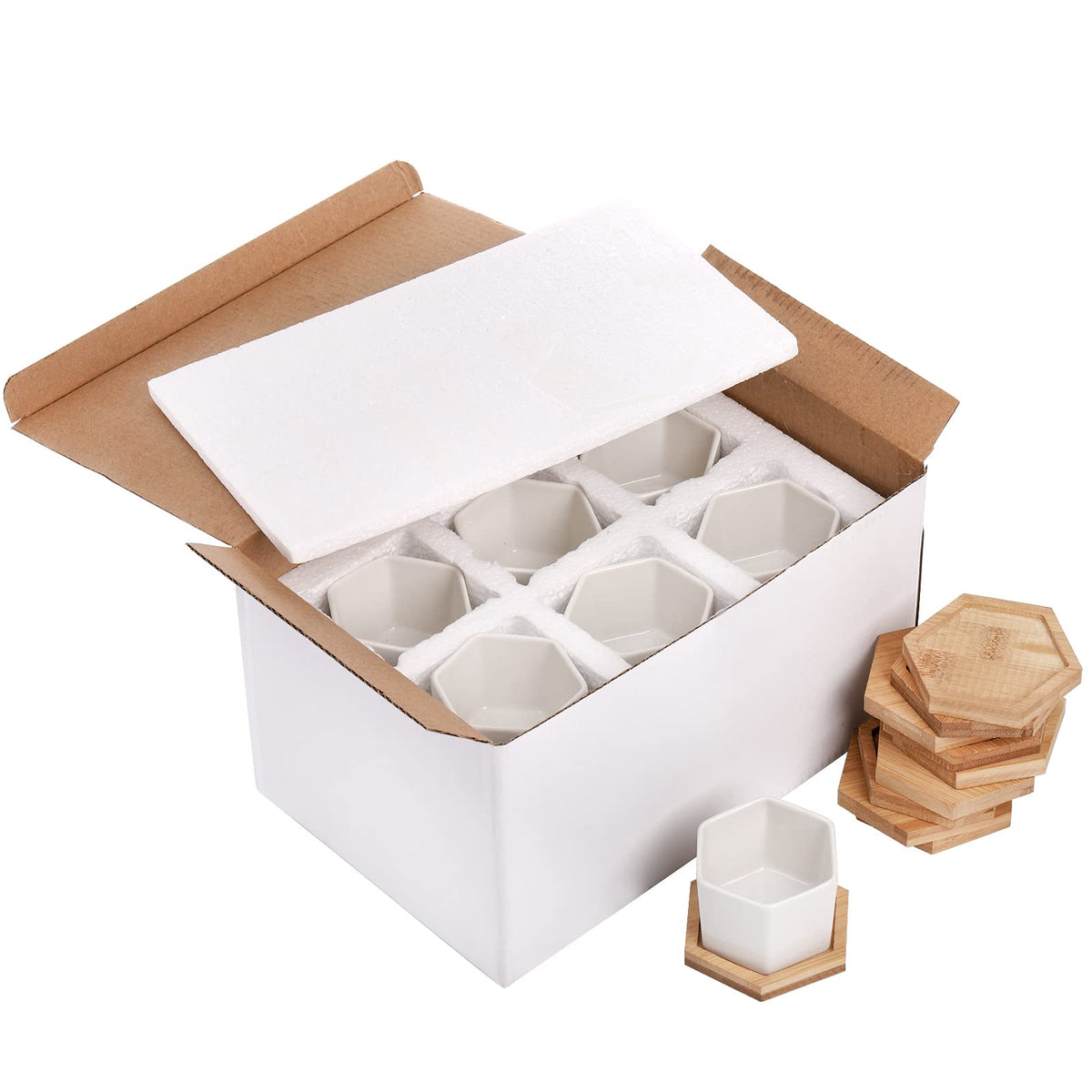 Foraineam 10 Pack Mini Succulent Plant Pots, 2.76 inch Hexagonal White Ceramic Succulent Cactus Planters with Bamboo Tray