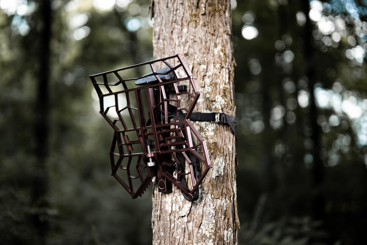 Hunter Safety System Legend Platform: Premium Hunting Gear for Tree Stand & Saddle Hunting - Ultimate Comfort, 360 Mobility, Superior Traction, Hunting Accessories for Deer Stand