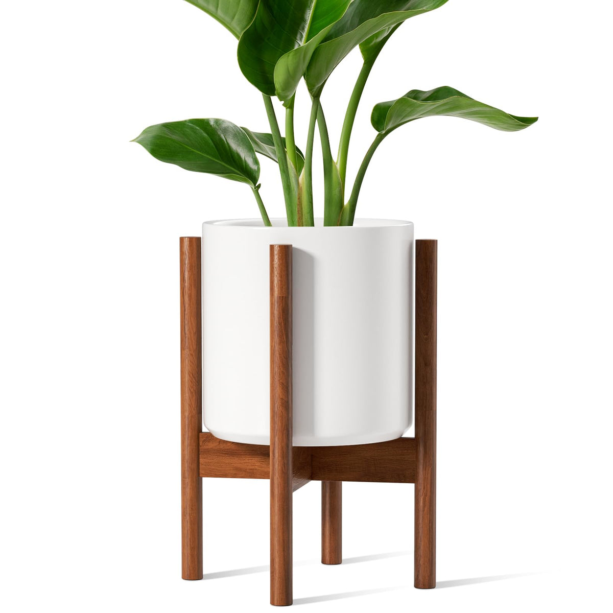 LE TAUCI 12 Inch Planter with Acacia Wood Stand, Large Ceramic Indoor Plant Pot with Drainage Hole & Plug, Mid Century Modern Plant Holder for Fiddle Leaf Fig, Monstera, Snake Plant, White