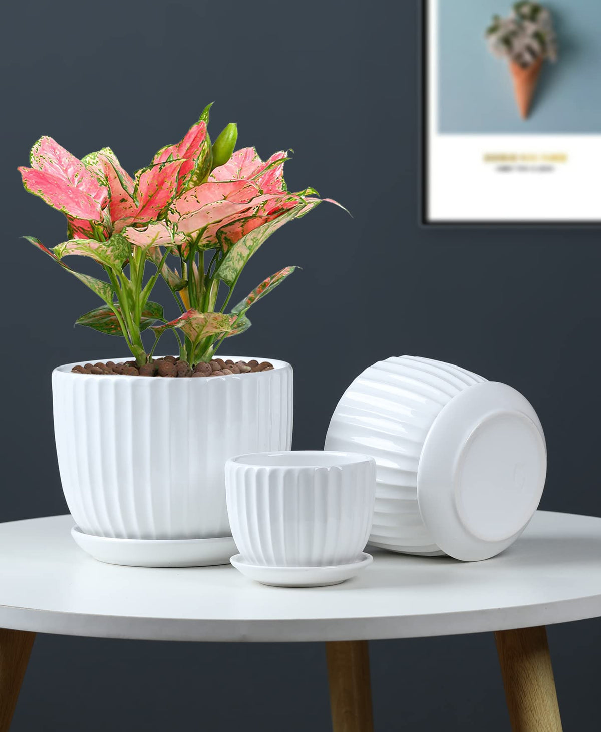 Ton Sin White Plant Pots Set of 3,Indoor Ceramic Flower Pot with Saucers,6.7"&5.5"&3.9" Inch Small to Medium Sized Planters for Plants,Round Modern Garden Pots