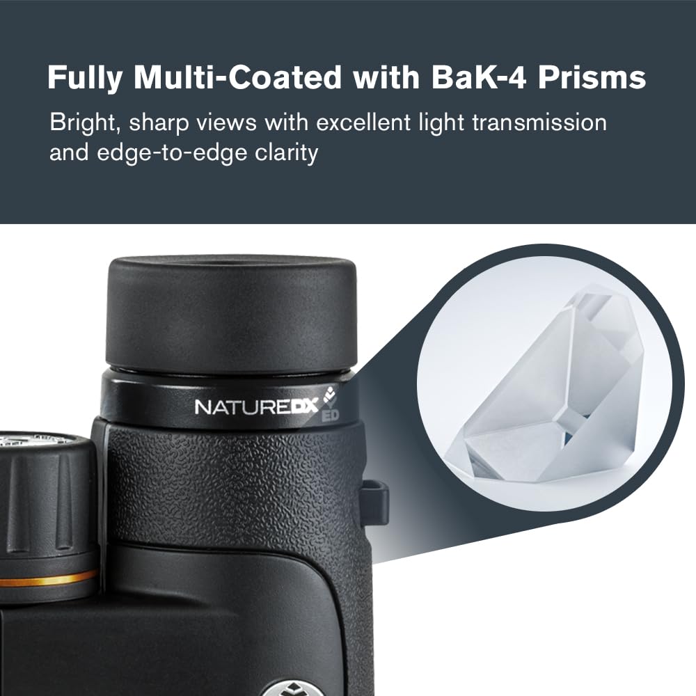 Celestron – Nature DX ED 8x42 Premium Binoculars – Extra-Low Dispersion Objective Lenses – Outdoor and Birding Binocular – Fully Multi-Coated with BaK-4 Prisms – Rubber Armored, Fogproof, Waterproof