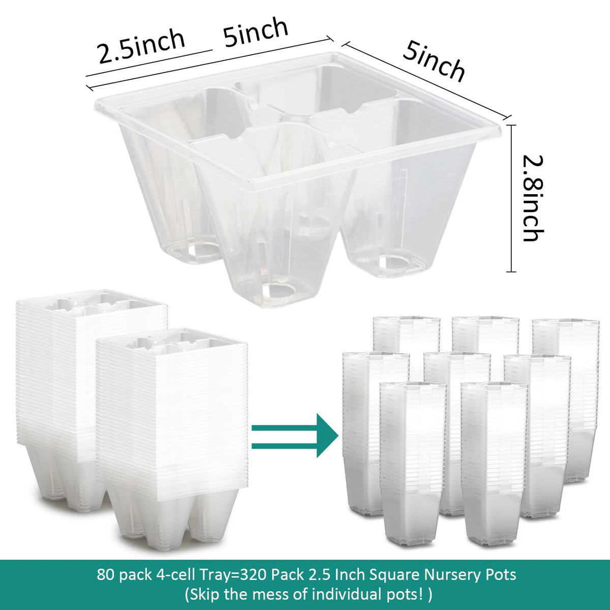 RooTrimmer 80 Pack Reusable 4-Cell Clear Seed Starter Trays - Extra Large Drainage Holes, Easy Transplant, Clear Transparent Tray for Root Observation, Seed Starting, Fits Standard 1020 Flats