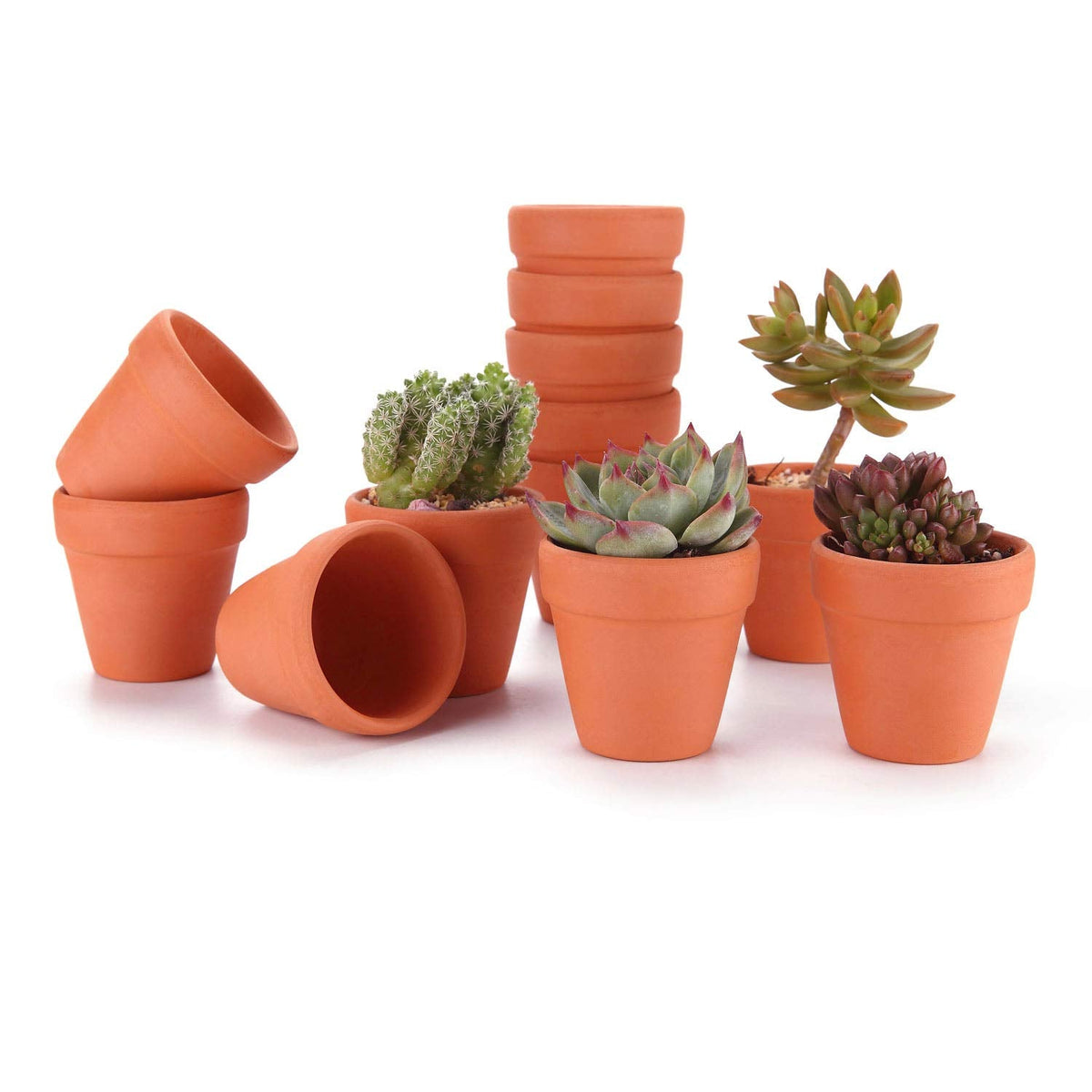T4U 2 Inch Terracotta Clay Pots Pack of 12 - Mini Hand Craft Nursery Plant Pot Succulent Cactus DIY Pottery Planter Home Garden Windowsill Decoration Christmas Gift