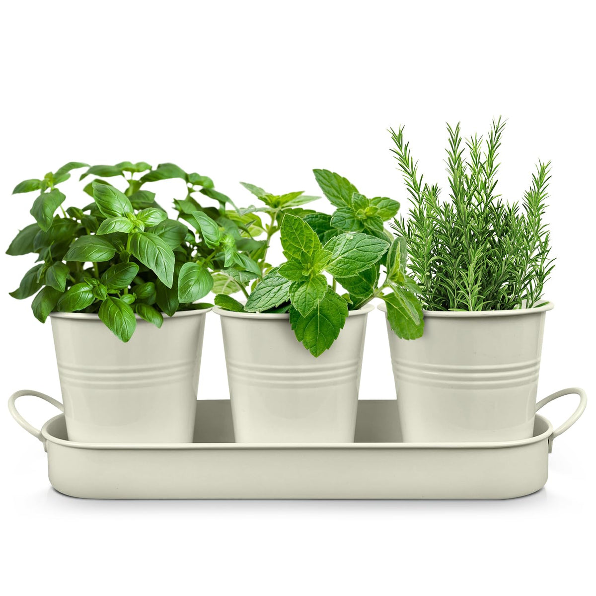 Plexon Herb Planter Indoor Garden Set of 3 with Tray, Metal Herb Pots for Indoor Plants, Round Kitchen Garden Kit Ideal for Windowsill Planter or Countertop, Off-White Powder Coated
