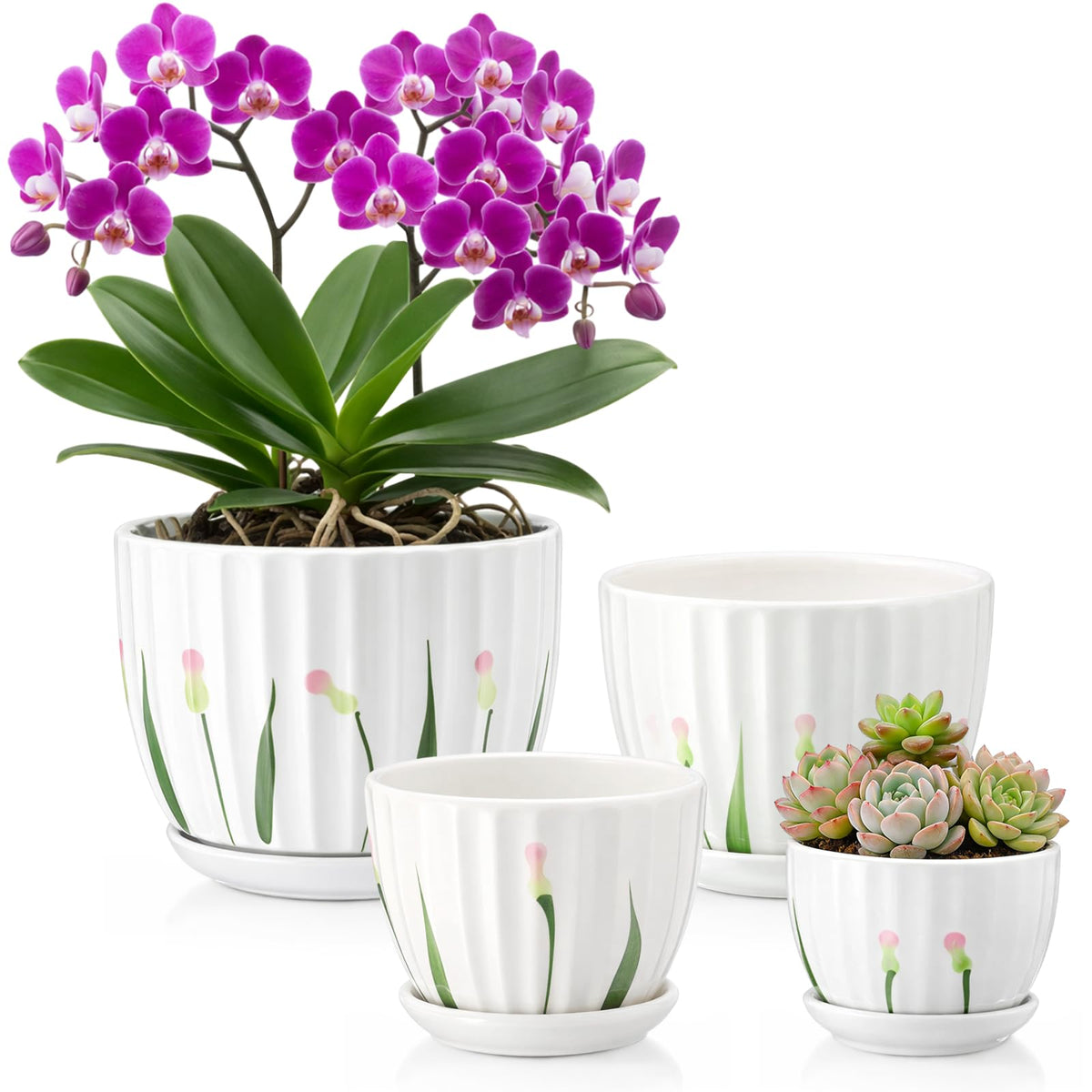 Acellegic 4 Pack Ceramic Orchid Pots with Drainage Holes and Tray 3.35+4.33+5.51+6.61 Inch Ceramic Plant Pot White Garden Planter for Indoor Outdoor Home Decor Gifts for Plant Lovers