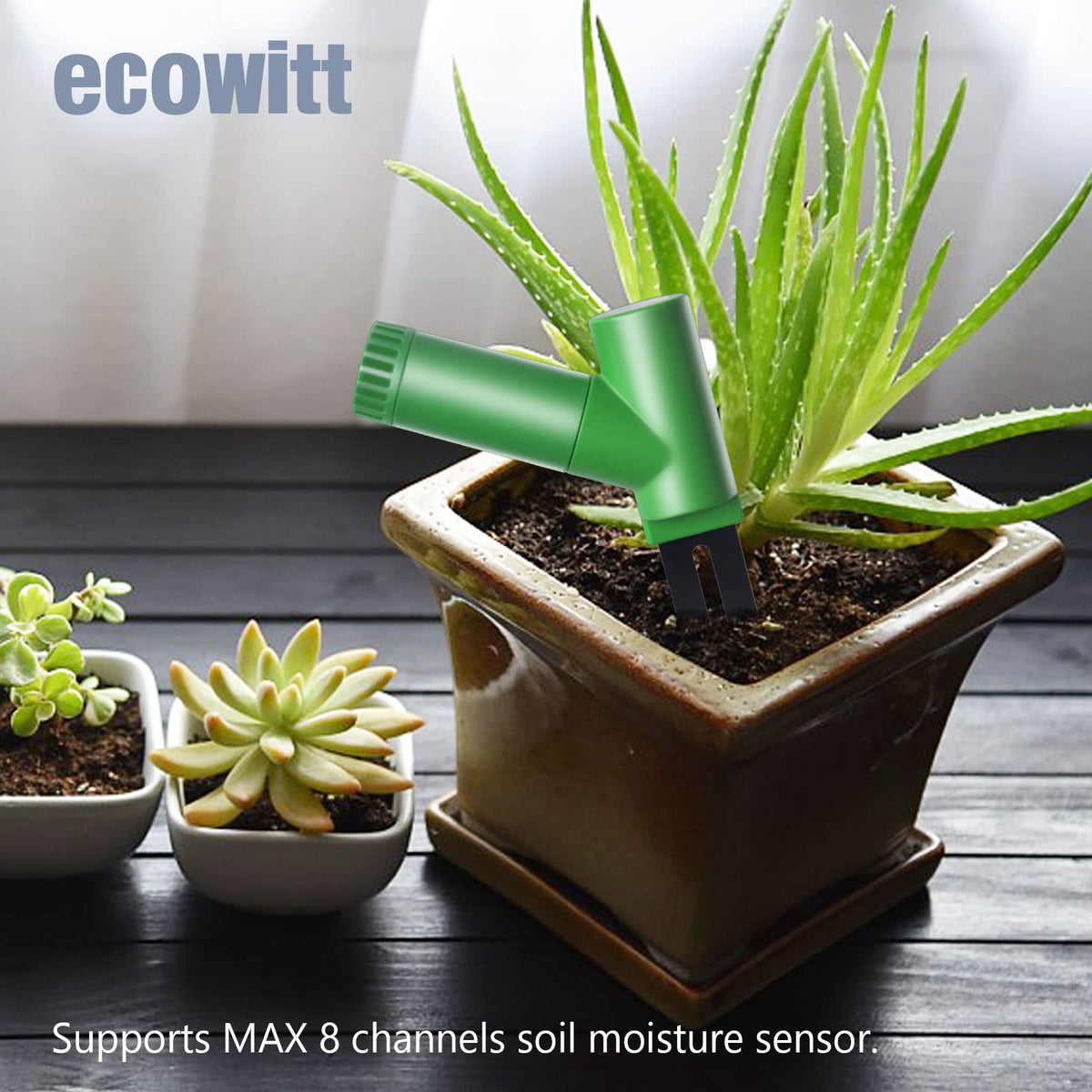 Ecowitt GW1106 Soil Moisture Meter Kit, Includes GW1100 Wi-Fi Gateway and WH51 Soil Moisture Sensor, 915 MHz