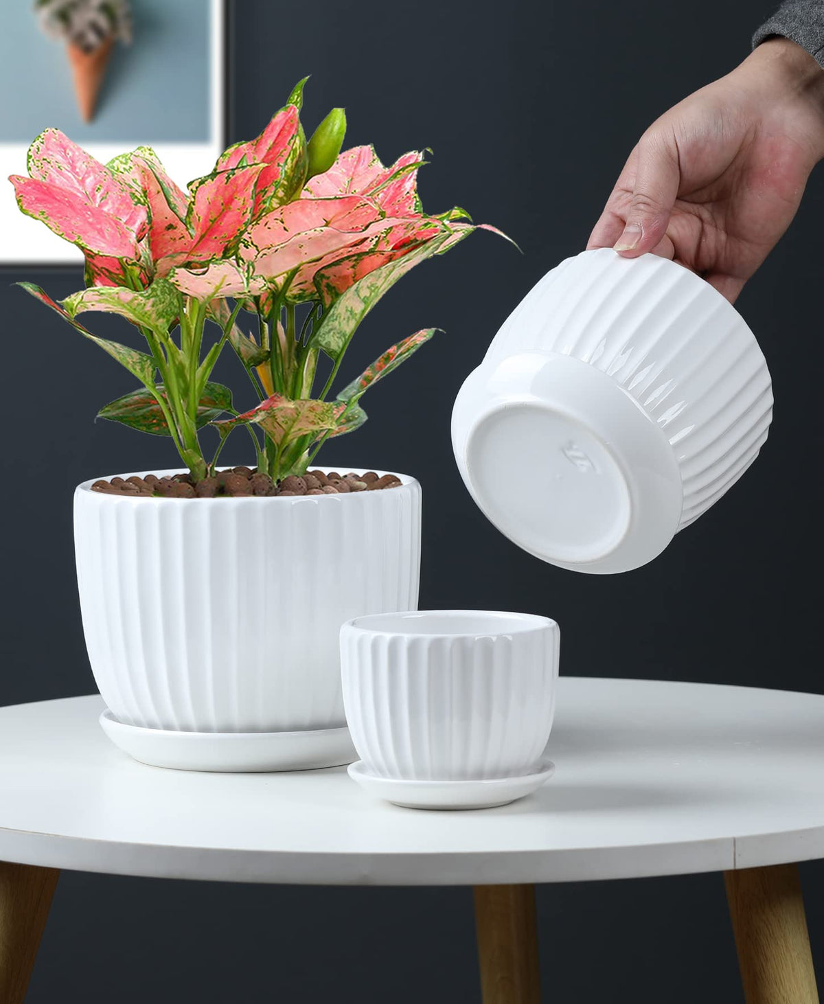 Ton Sin White Plant Pots Set of 3,Indoor Ceramic Flower Pot with Saucers,6.7"&5.5"&3.9" Inch Small to Medium Sized Planters for Plants,Round Modern Garden Pots