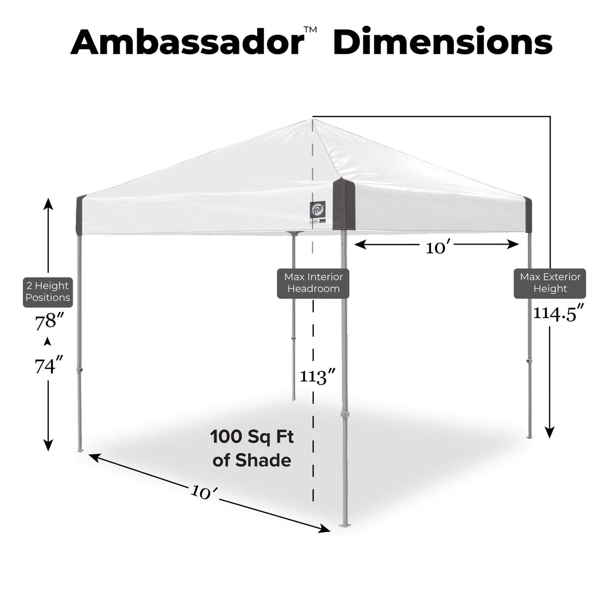 E-Z UP Ambassador Instant Pop Up Canopy Tent, 10' x 10', Roller Bag and 4 Piece Spike Set, Slate White