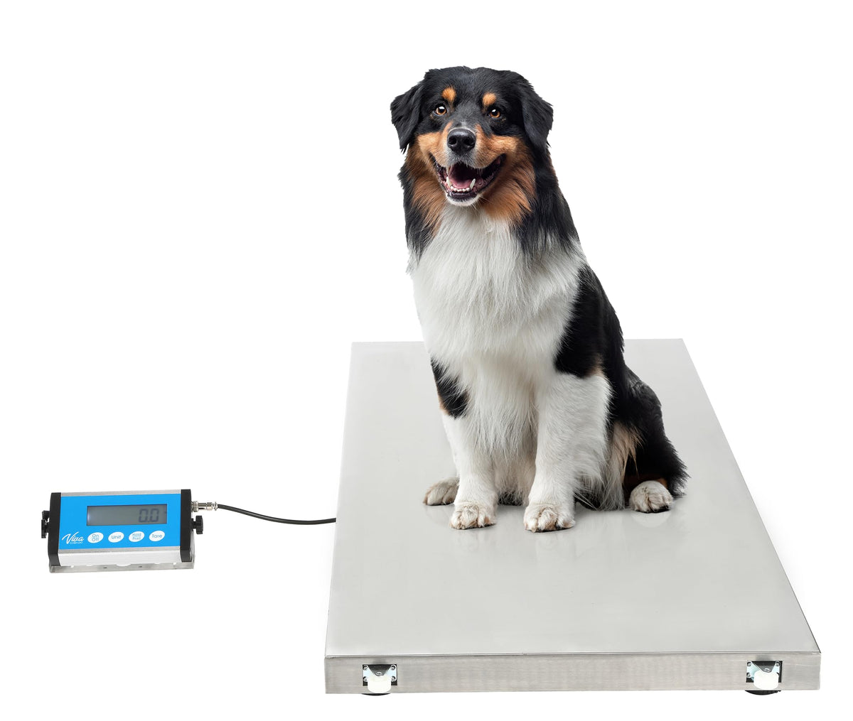 VivaComfort Veterinary and Dog Scale - Large Animal Digital Livestock Scale, 660 lbs Capacity, 44.09L x 20.47W x 1.77H