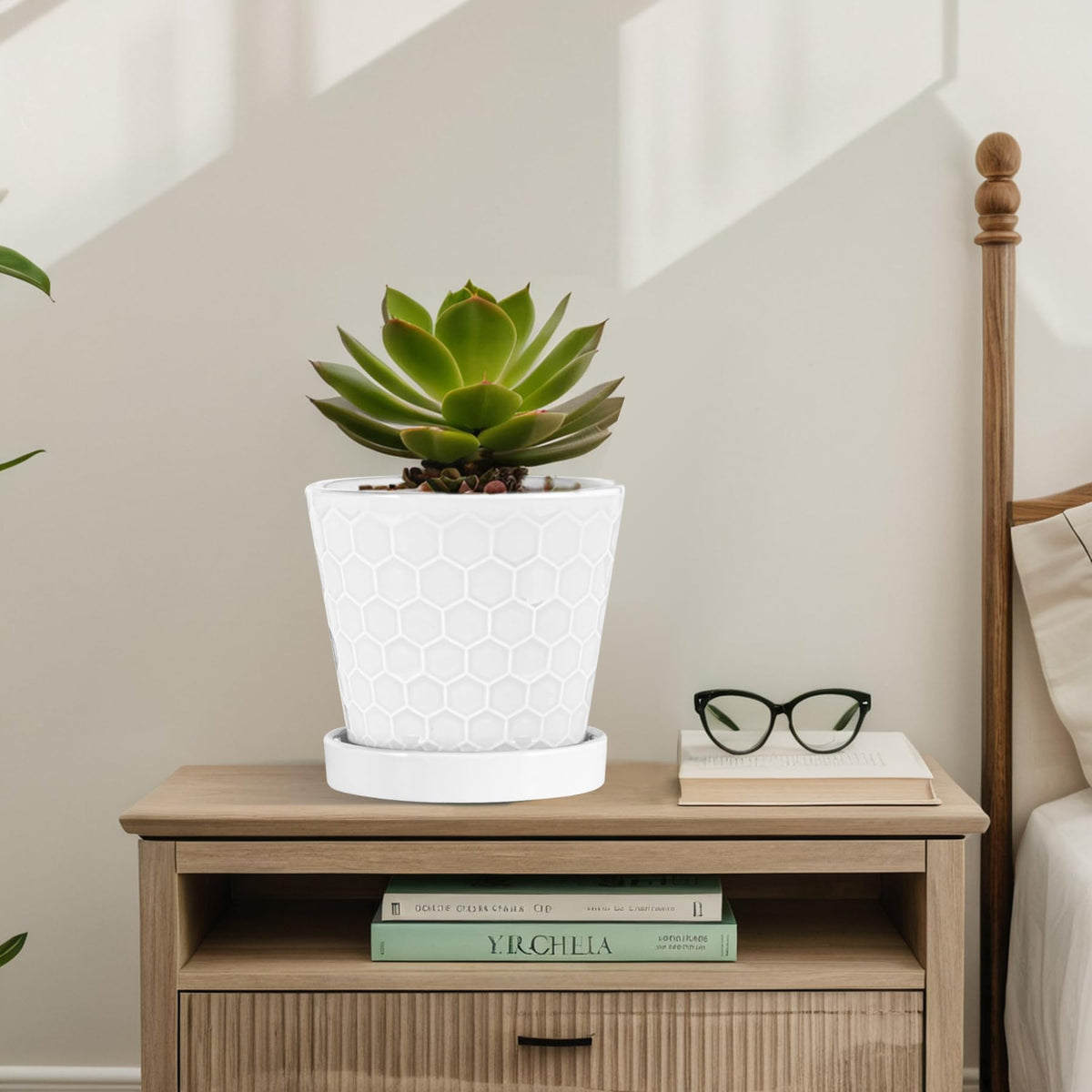 BUYMAX Plant Pots Indoor –6 inch Ceramic Flower Pot with Drainage Hole and Ceramic Tray - Gardening Home Desktop Office Windowsill Decoration Gift, Set of 2(White)