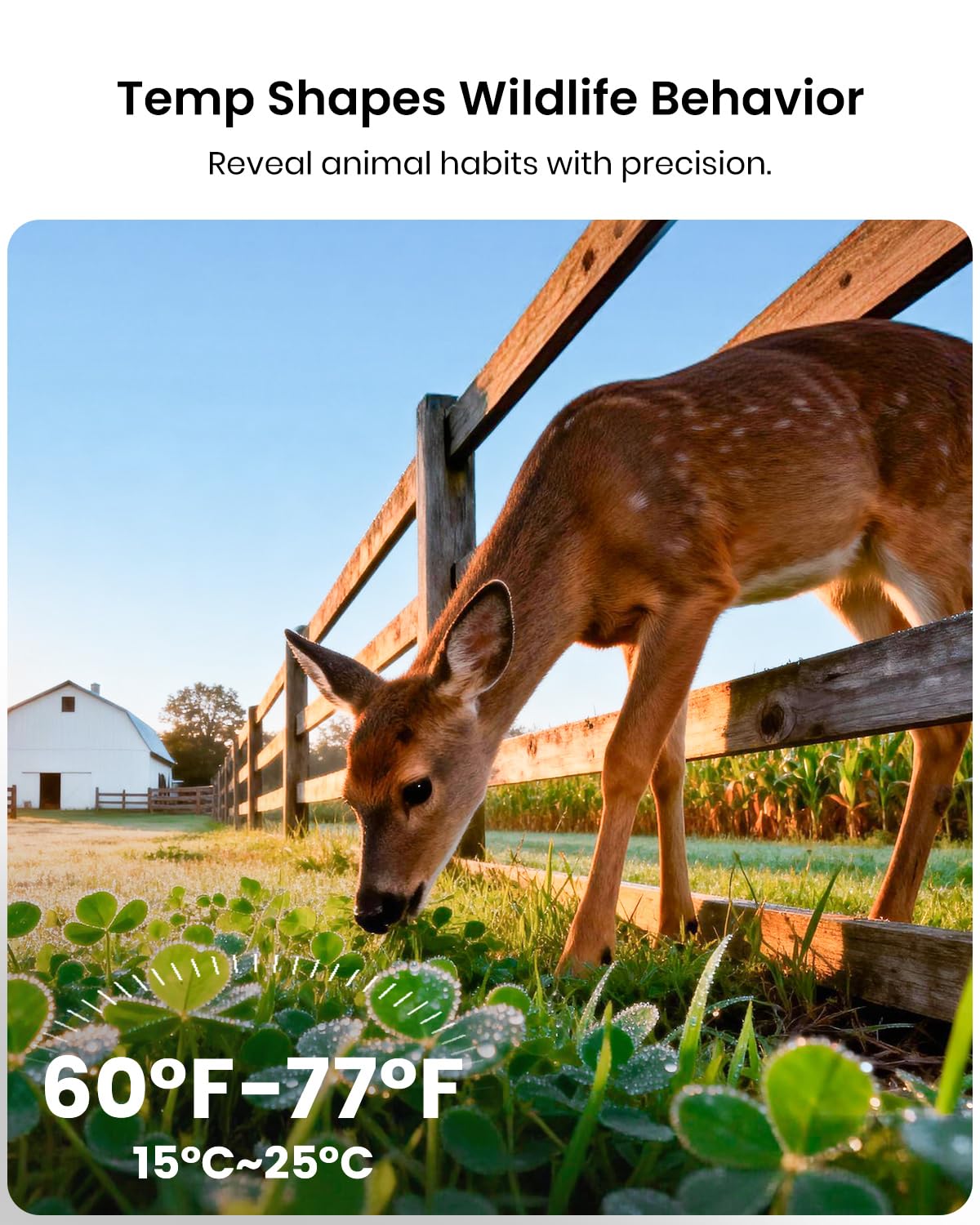 Misstech 4K UHD Solar Trail Camera for Game & Wildlife Monitoring - 0.1s Fast Activation to Record Animals, 64MP/4K Clear Night Vision, No Monthly Fee, App Control, IP66 Waterproof, Local Storage