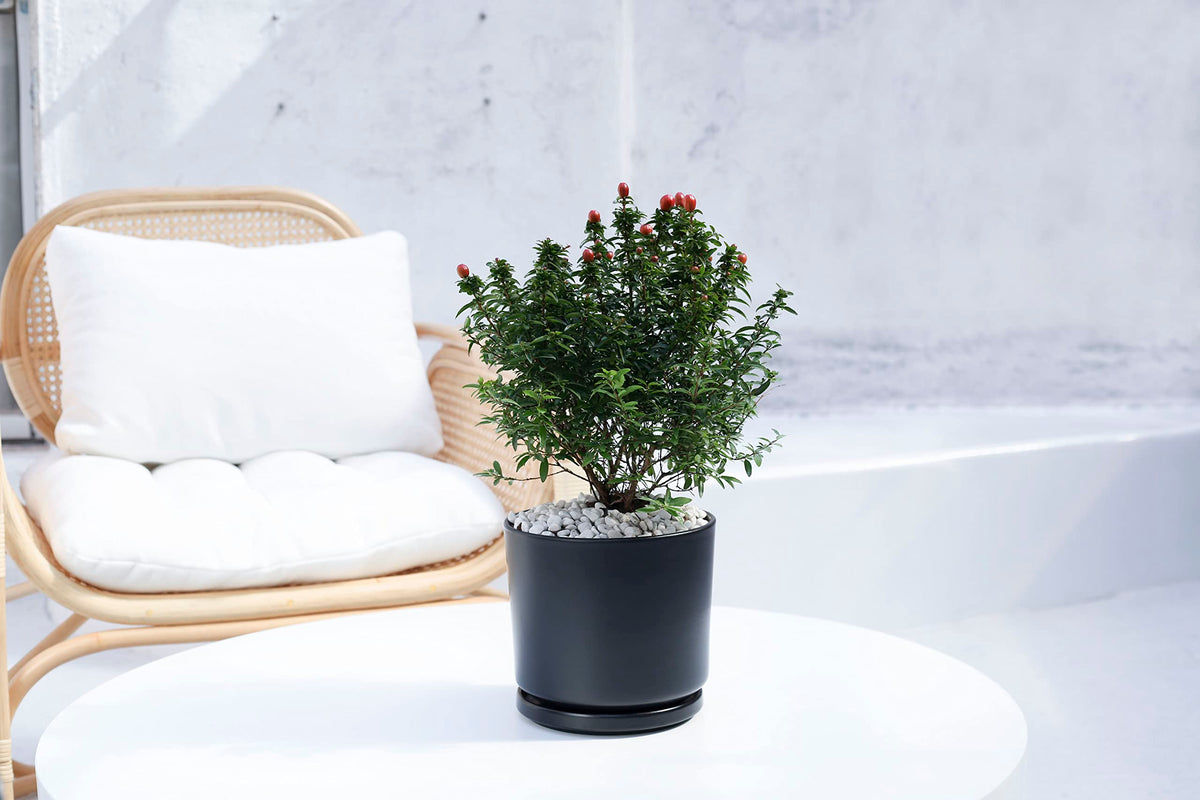 Ekirlin 7 inch Plant Pots,Ceramic Flower Planters Indoor,Modern Succulents Containers with Drain Hole Saucer,Decorate Home,Office & Outdoor (Black)