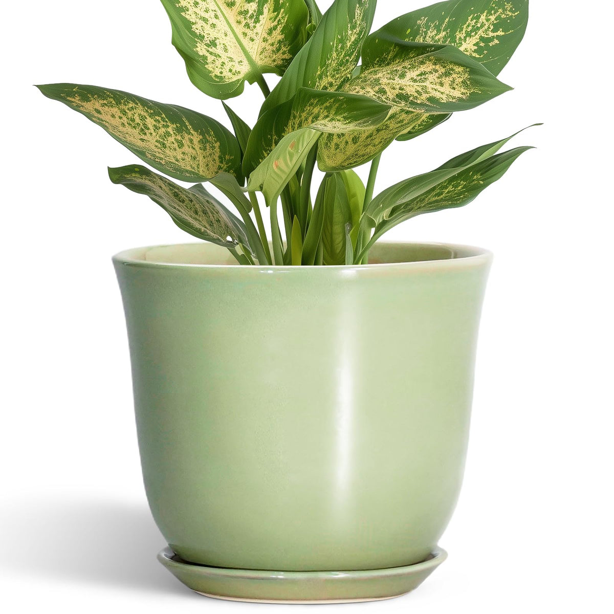 SUNPOTFOR 5.6 Inch Plant Pot - Ceramic Pots for Plants Indoor Outdoor, Round Orchid Succulent Pot with Drainage Hole and Saucer, Modern Small Planter, Home Room Window Decor, Plants Lover Gift, Green