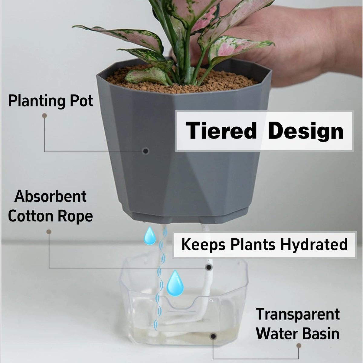 BovcTrraann 4 Packs Self Watering Plant Pots, Plastic Flower Pots with Drainage Hole and Saucer, Self Watering Planters for Indoor Outdoor Garden Plants, African Violet, Herbs (White, 5")