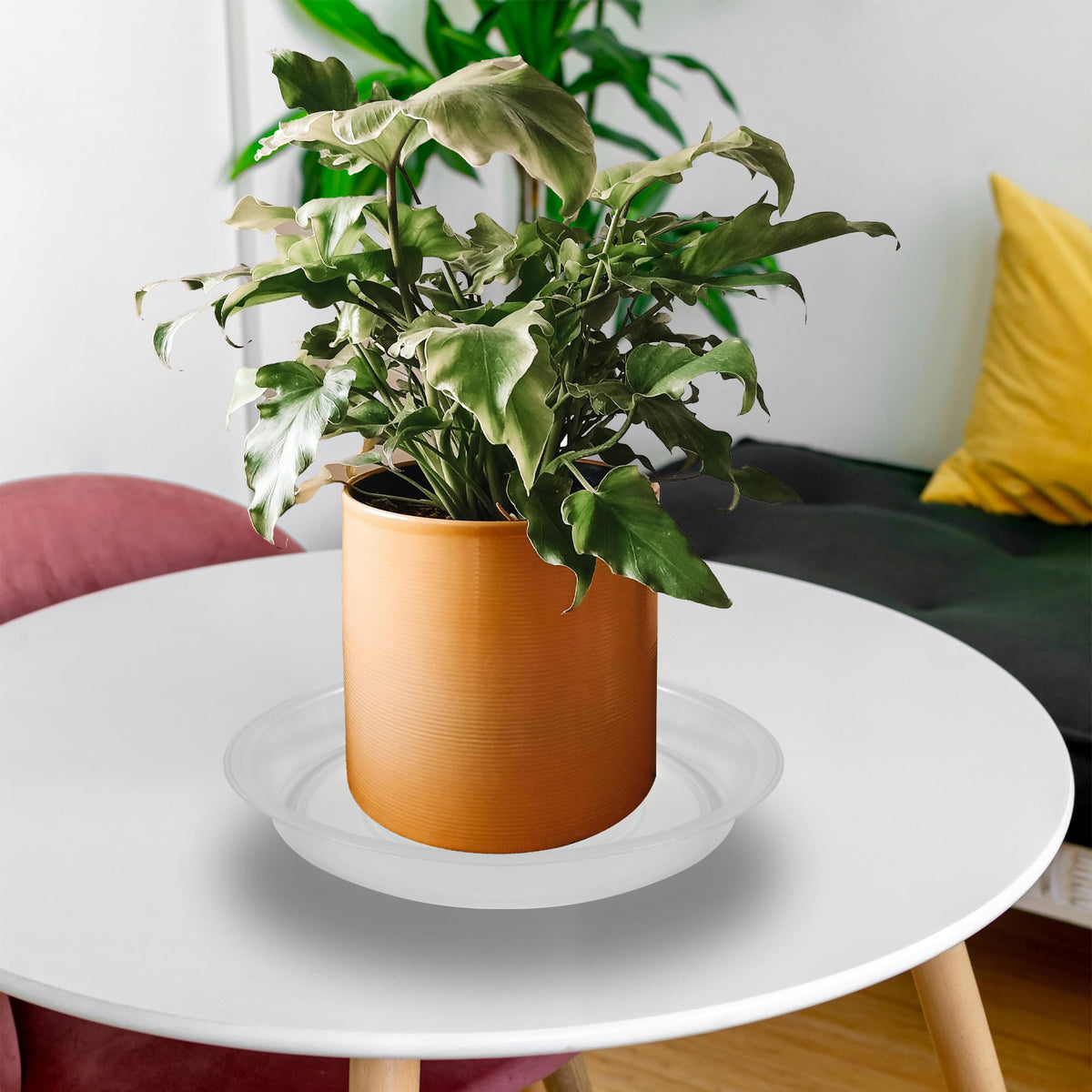 TNTIWQ 12 Pack 10 Inch Round Plant Saucers for Less 8 Inch Pot Indoors Outdoors Plant Trays for Pots Planter Saucer Plastic Drip Tray Planter Water Tray (Clear, 10"(12pcs))