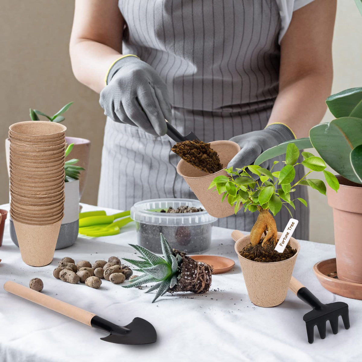 NuCandle 3” Peat Pots Seedling Pots Plant Starters Bulk 100 Pack Seed Starter Pots Biodegradable Plant Cups with Labels, Mini Seedling Tools for Garden Germination Nursery Pot