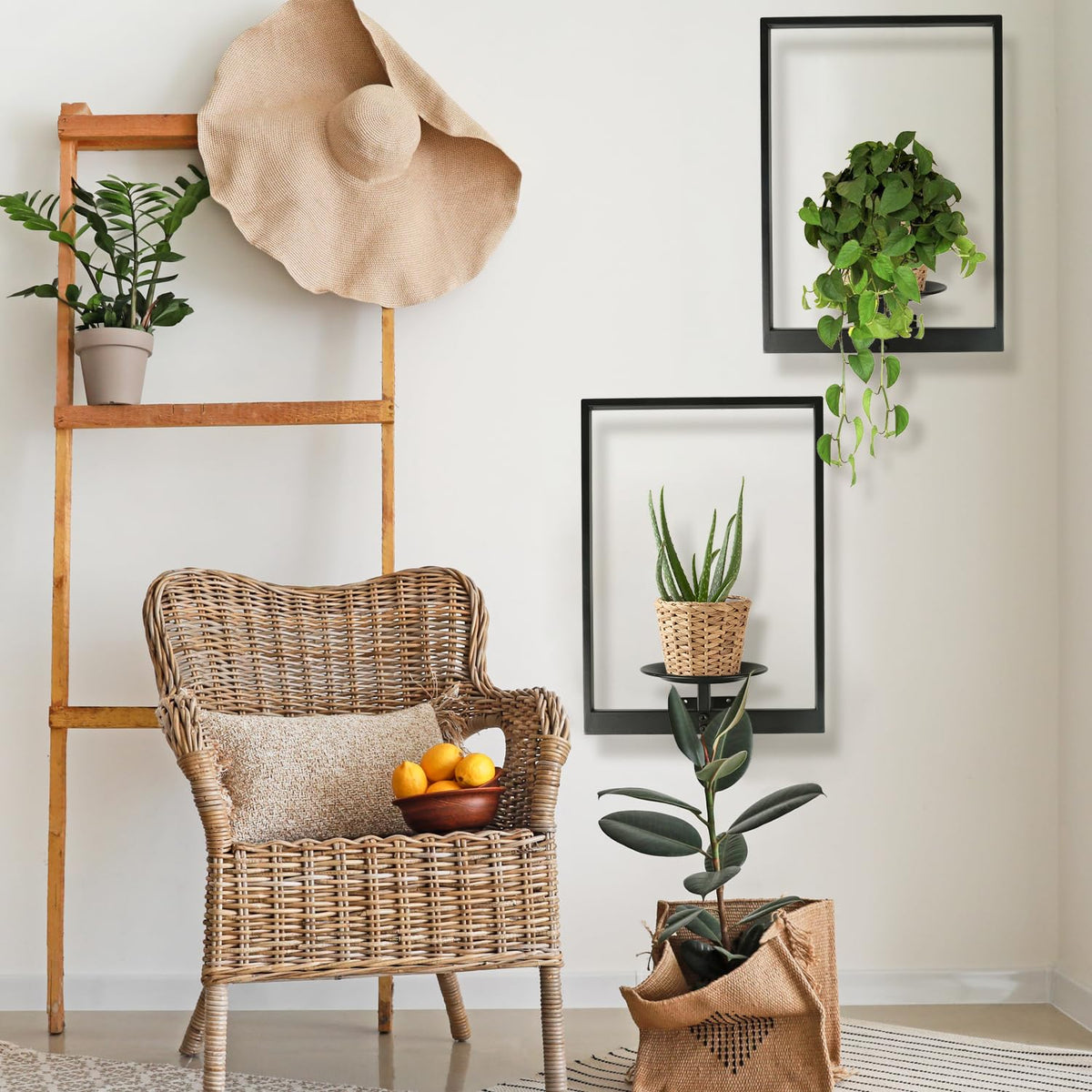 SUNLITOPTO Plant Wall Shelf, Metal Modern Style Frame, Picture Wall Plant Holder, Plant Frames for Living Space Decor Display Stand for Living Room Balcony Garden Patio (2 PACK(BLACK))