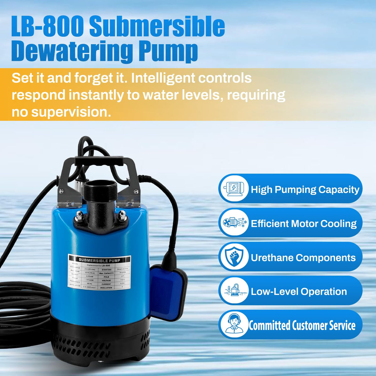 LB-800 1 HP 115V Submersible Dewatering Pump w/Float Switch Replacement for LB-800-62 2'' Straight Male NPT Submersible Drainage Utility Pump Single Phase 70 GPM
