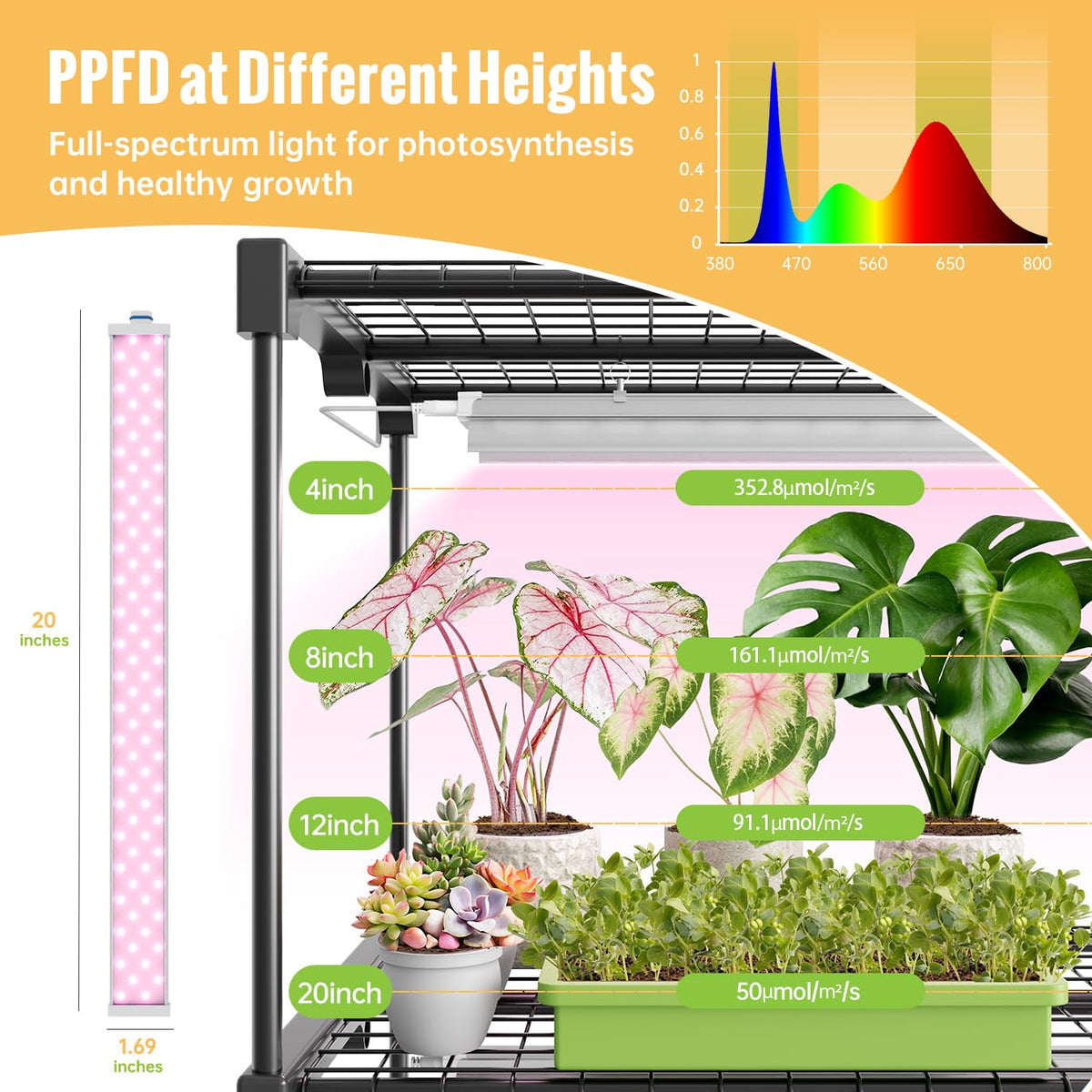 SpeePlant LED Grow Light Bulbs+4-Tier Plant Stand with Zippered PVC Tent, 27" L x 19" W x 59" H