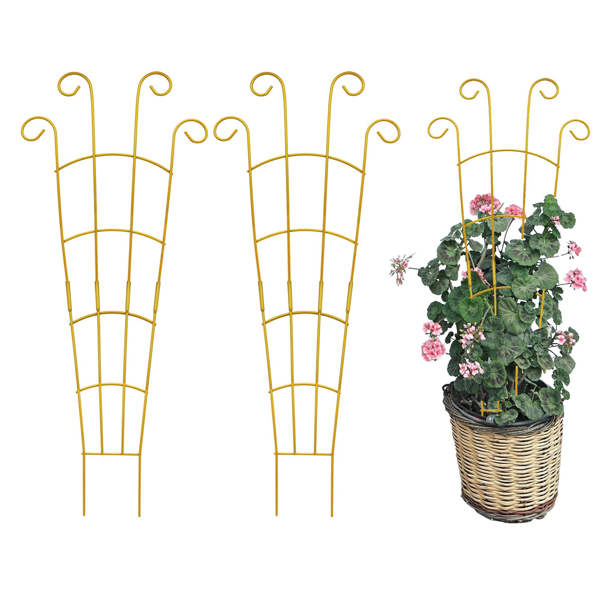 Plant Trellis Indoor 3 Pack 30 Inch Trellis for Climbing Plants Indoor Trellis for Potted Plant Support for Hoya Vines Ivy(Gold, 30 inch)