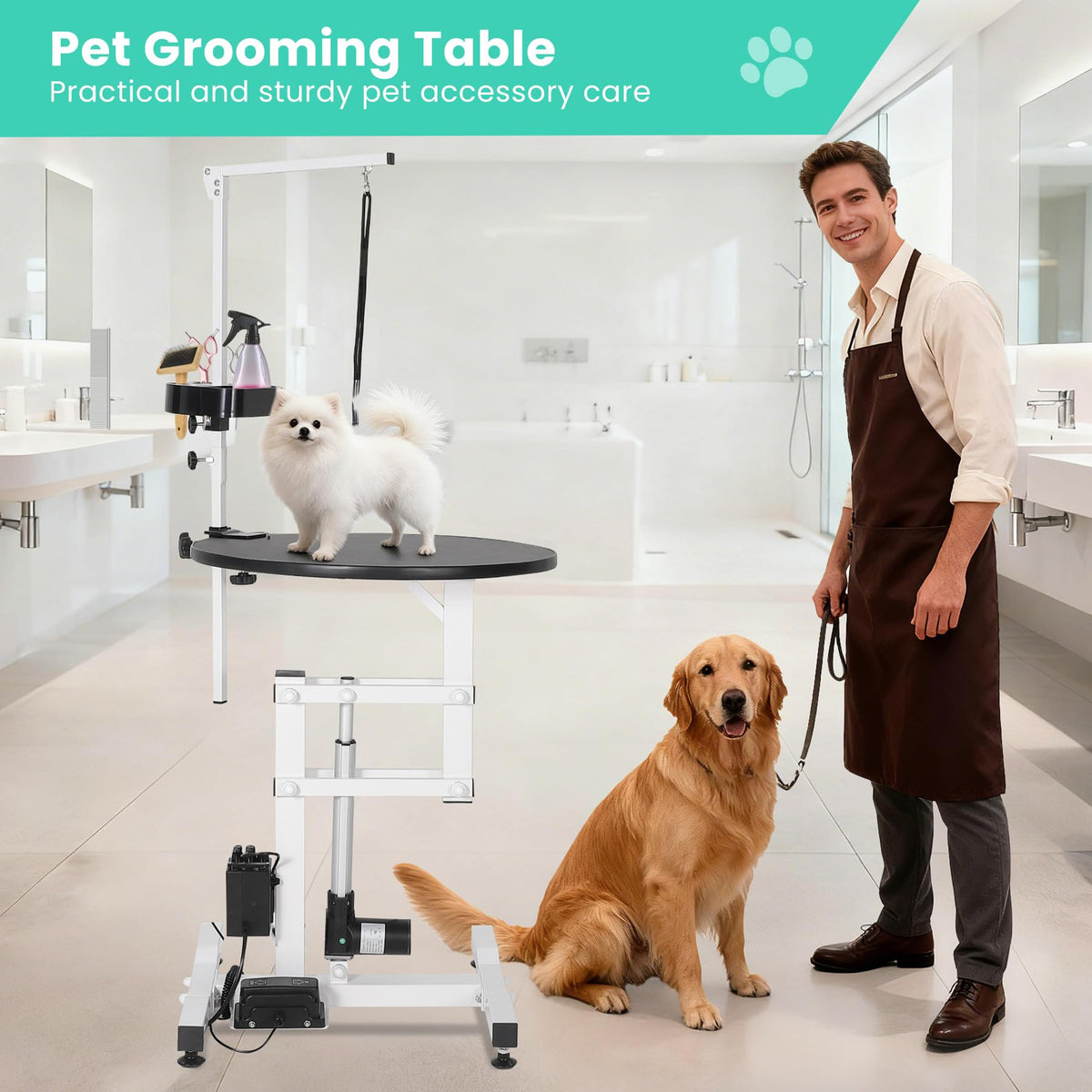 Garvee 24 Inch Electric Hydraulic Lift Pet Dog Grooming Table, Rotating Grooming Desktop for Small Pet, with Overhead Arm, Foot Remote, Tool Organizer, Capacity 250LBS