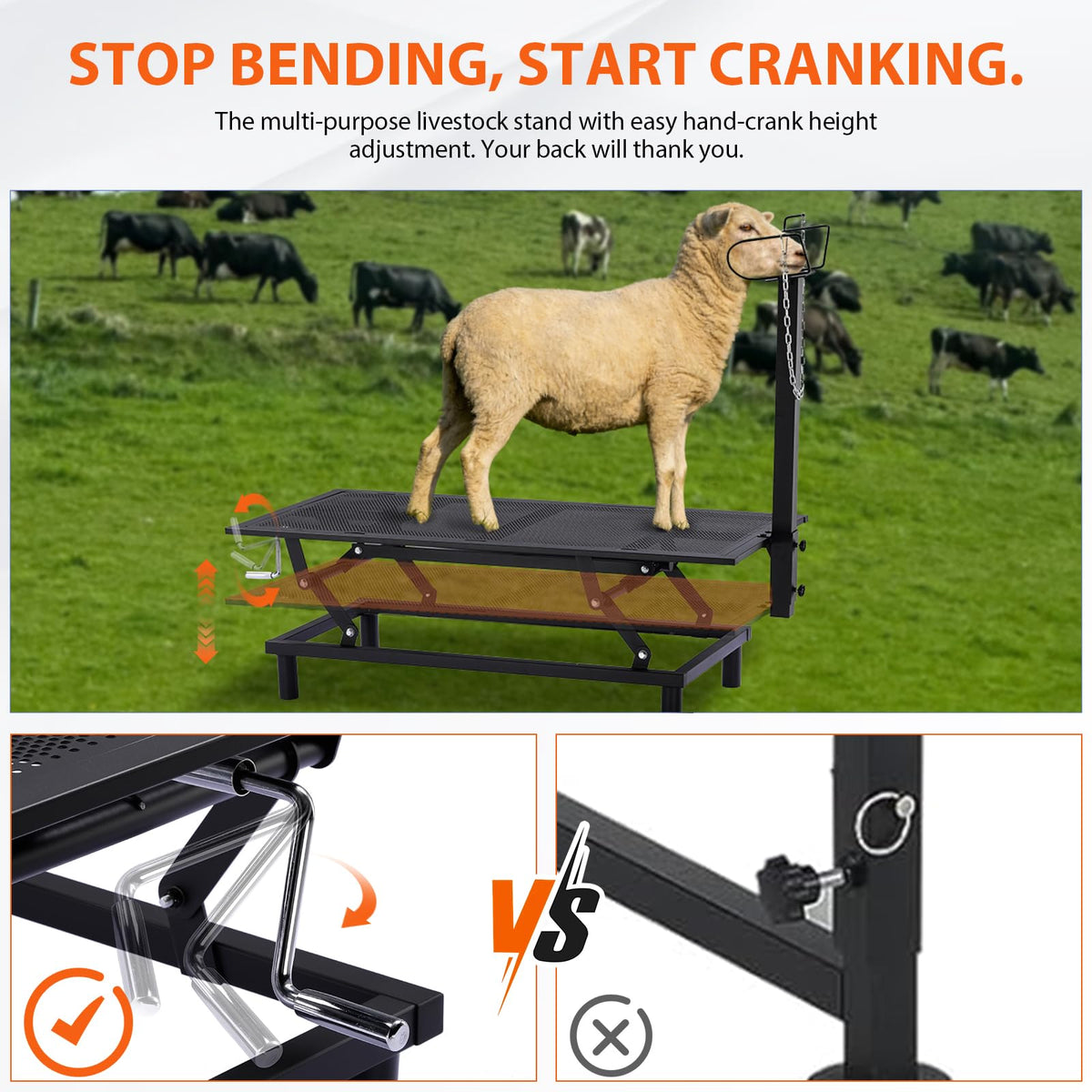 GTPLAYER Goat Milking Stand with Hand Crank,Wheels – 48"x23" Adjustable Headpiece & Height, for Grooming, Milking, Hoof Trimming, Heavy Duty Metal Sheep/Goat Stand, 500 LB Capacity Dark-Black