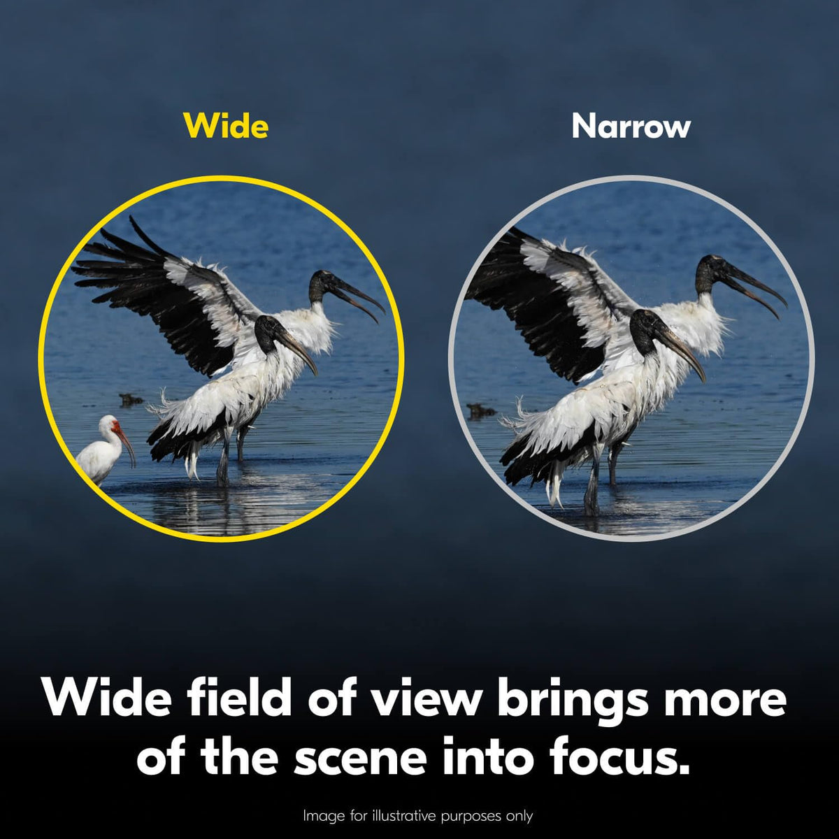 Nikon Action 12x50 Binocular | Multilayer-Coated Nikon Optics, high-Power 12x Magnification, Bright 50mm Objective Lenses, Turn-and-Slide Adjustable eyecups and Tripod-Ready Porro-Prism Design