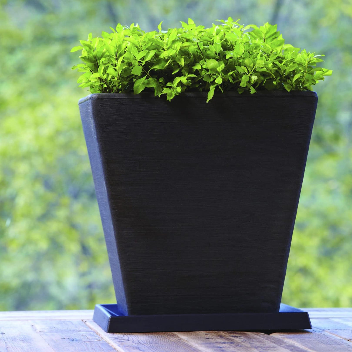Crescent Garden Universal Square Plant Saucer, UV Safe Durable Plant Tray for Square Planter, Heavy-Duty Plastic Drainage Dish, Indoor/Outdoor Flowerpot Saucer - 13'' inner x 16.75" outer (Old Bronze)