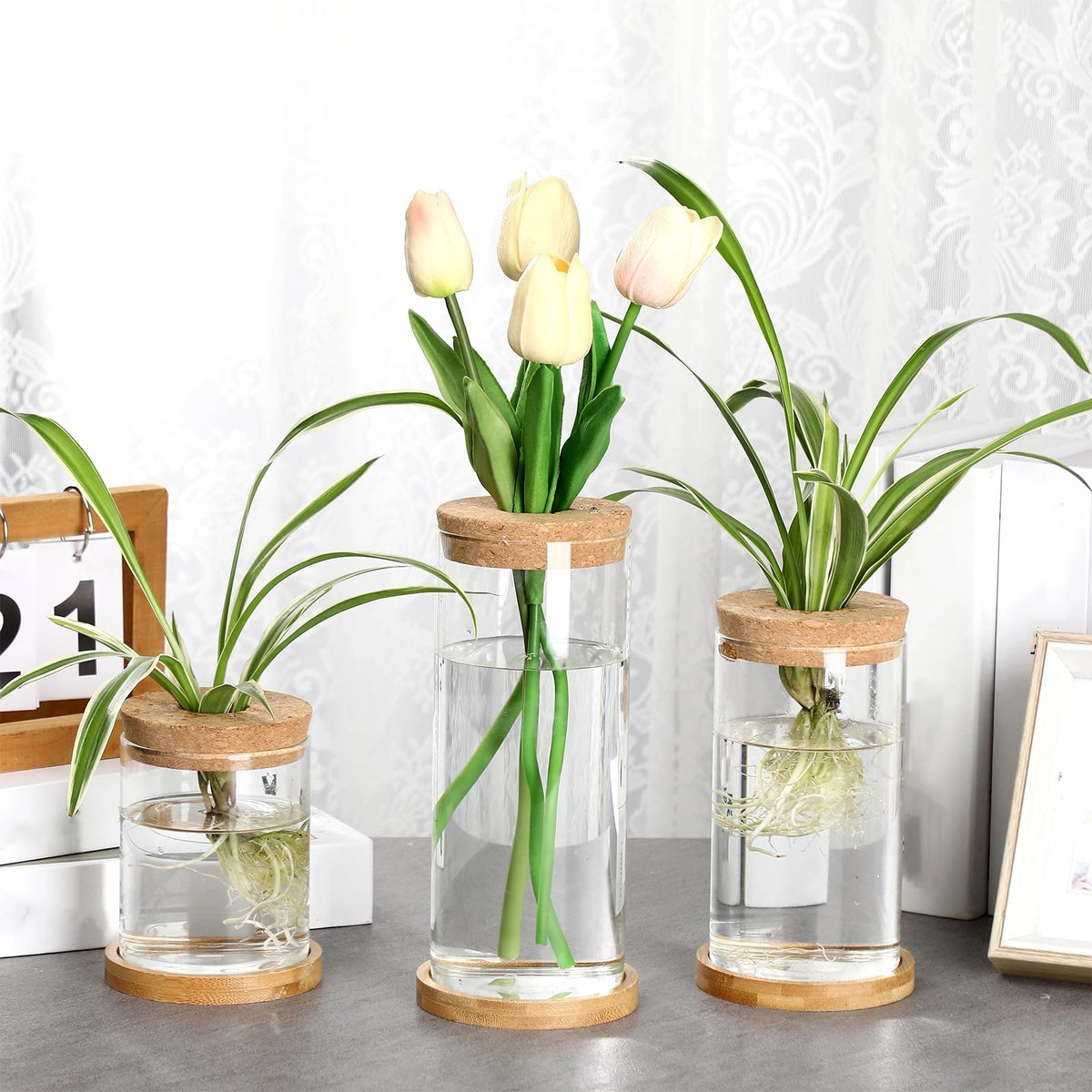 Maxcheck 3 Pcs 3 Sizes Plant Propagation Station Separated Glass Plant Terrarium Water Hydroponic Planter Holder with Lid and Wooden Stand Propagation Vase Pot for Home Indoor Office(Various Sizes)