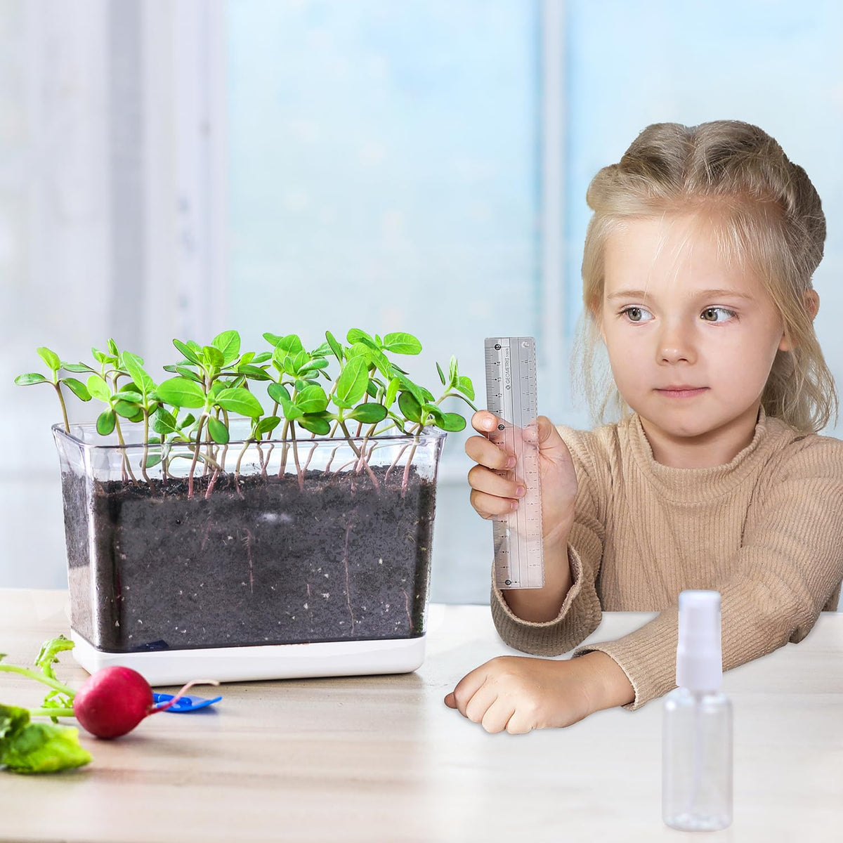 Oliz Self Watering Planters - 4 Pack Rectangular Clear Plant Pots with Drainage Holes for Indoor Plants