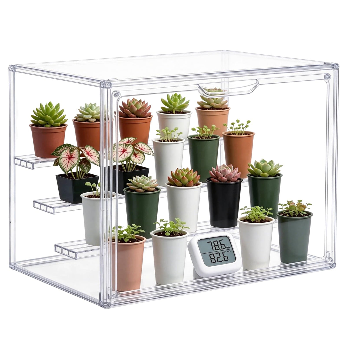 Clear Mini Greenhouse Indoor, Small Portable Tabletop Green House with Magnetic Door for Seed Starting, Plant Grow Warmer and Home Gardening Display