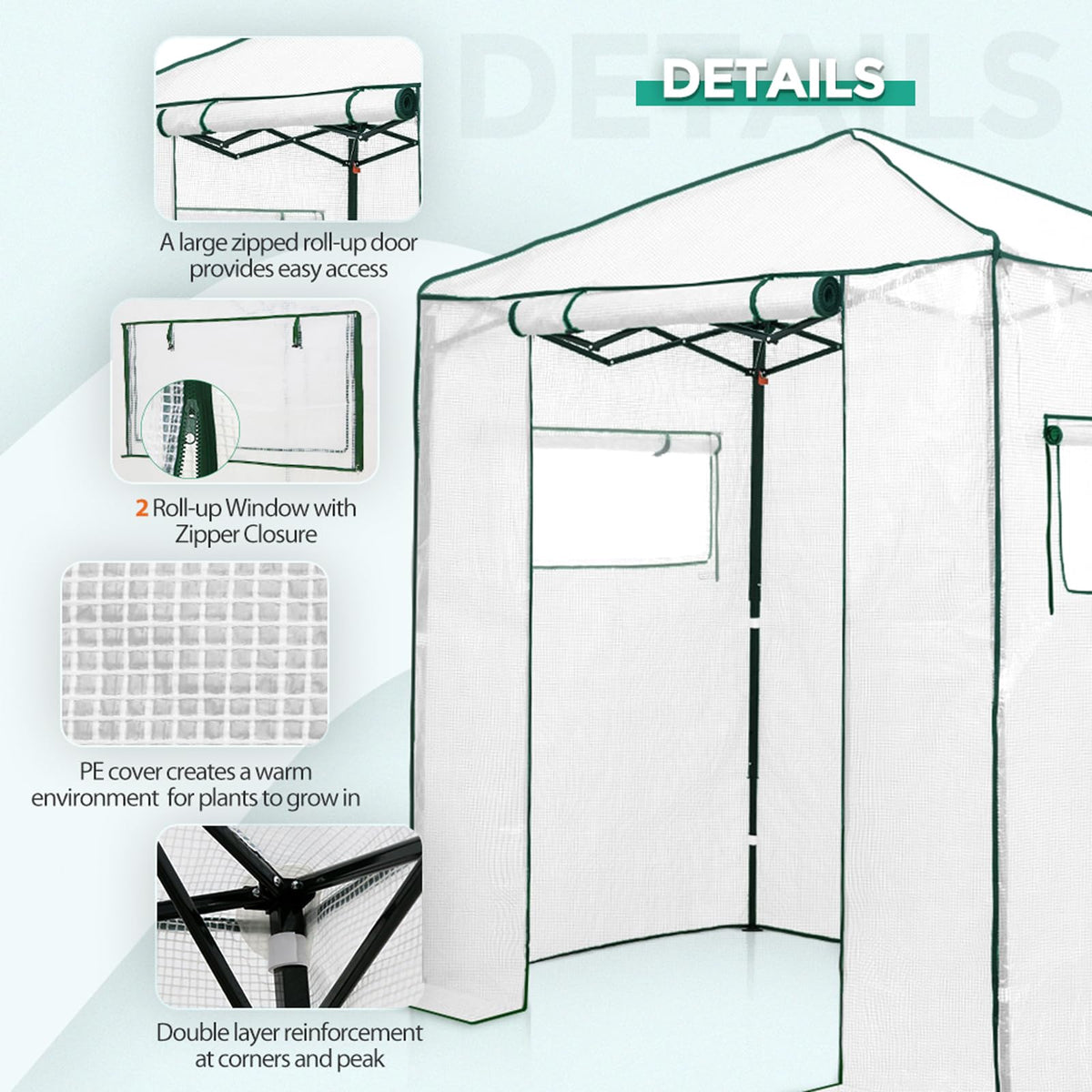 EAGLE PEAK 6x4 Portable Walk in Greenhouse, Pop Up Indoor Outdoor Greenhouse, Green House Kit with Zippered Roll-Up Doors and Windows, PE Cover, Clear/White
