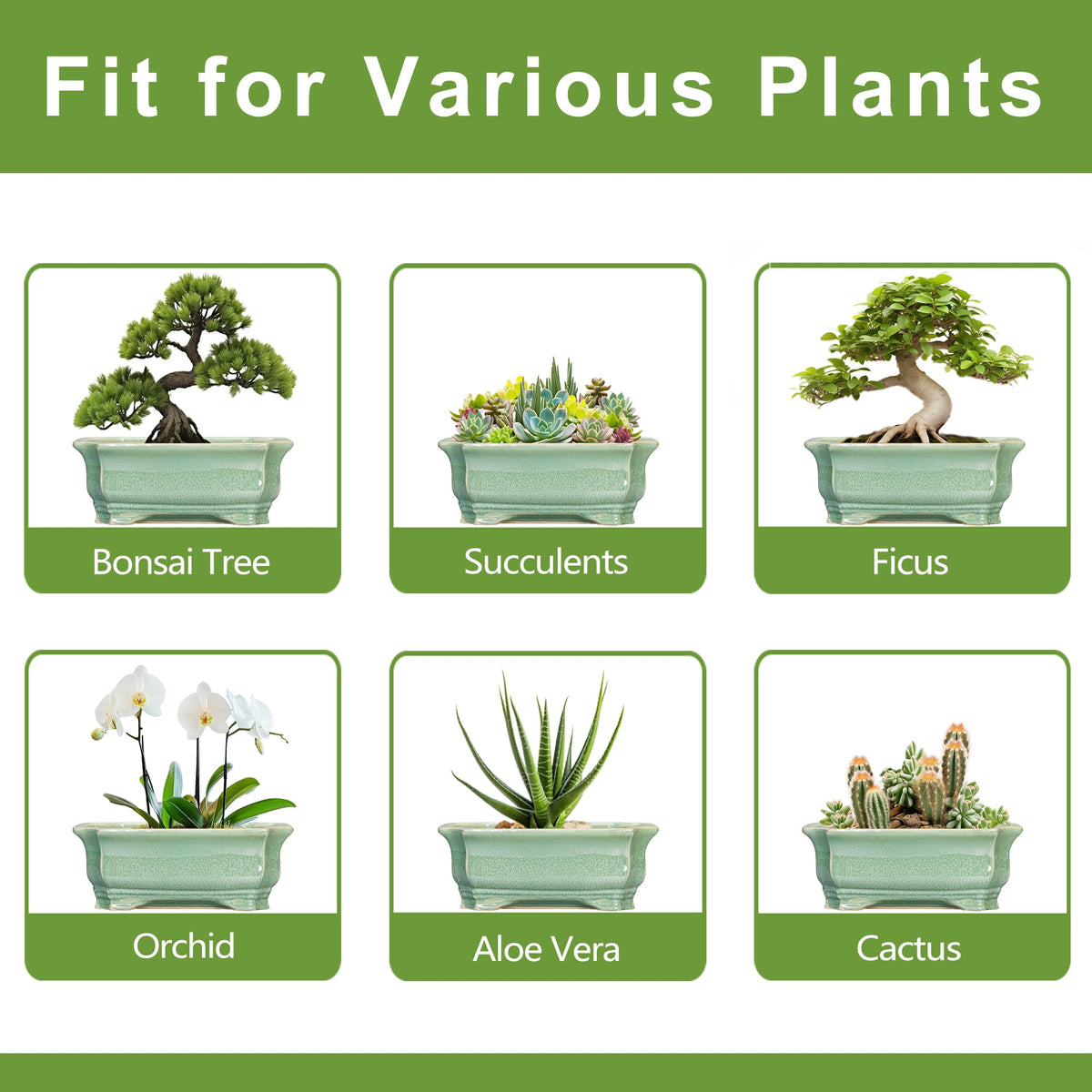 Teagas Bonsai Tree Pot 11.6 Inch - Ceramic Succulent Pots, Bonsai Planter for Indoor Outdoor, Decorative Plant Pot with Drainage Hole, Rectangular Flower Pot, Home Garden Decor, Garden Gifts, Green