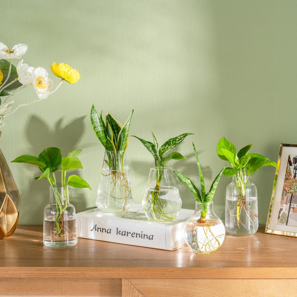 Mkono Propagation Vases for Plants, Set of 5 Small Glass Jar Planters for Hydroponic Cutting Flowers, Plant Station Bud Vases for Centerpieces Home Office Decor Gift