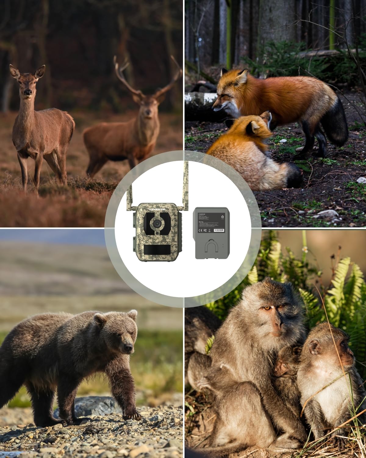 CAMOVUE True 4K 4G LTE Cellular Hunting Camera Outdoor +Battery Pack+6W Solar Panel, 0.2s Trigger Speed, Game or Trail Camera with GPS, Non-Glow IR, SIM Card, Motion Capture, Talon Pro+BP-10+SP-10