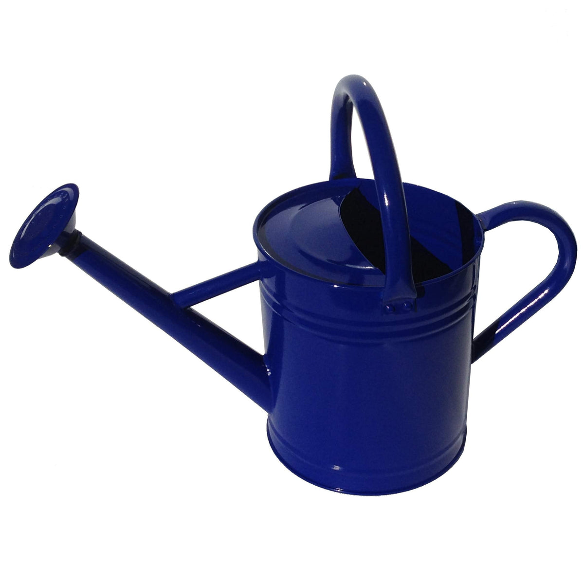 Gardener's Select Watering Can, Blue, 3.5 L-(AW3003P6DB)