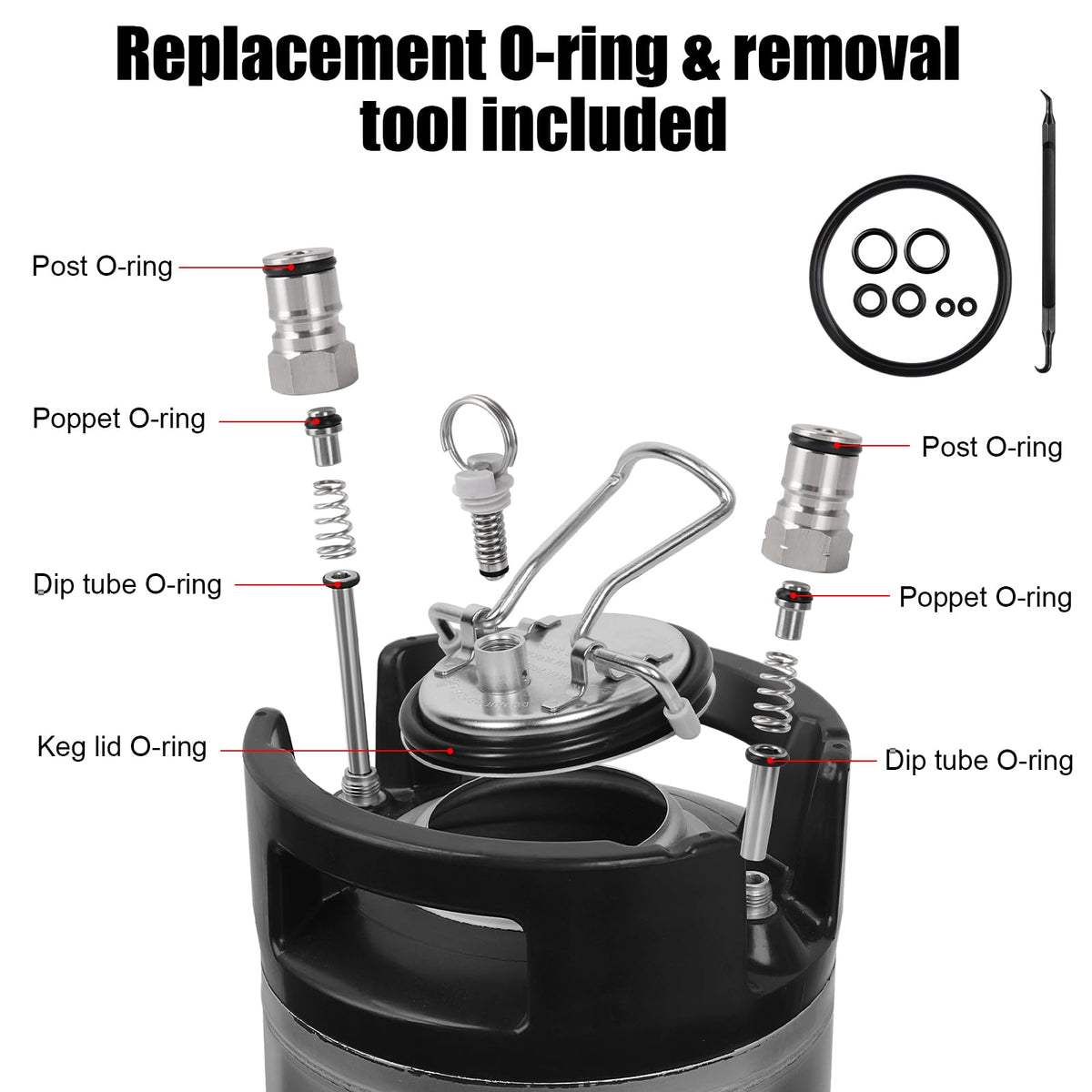 Ferroday Upgraded 5 Gallon Ball Lock Keg, Stainless Steel Corny Keg with Ball Lock Post, Portable Cornelius Beer Keg with Dual Rubber Handle, Gasket Set for Commercial Home Brewing