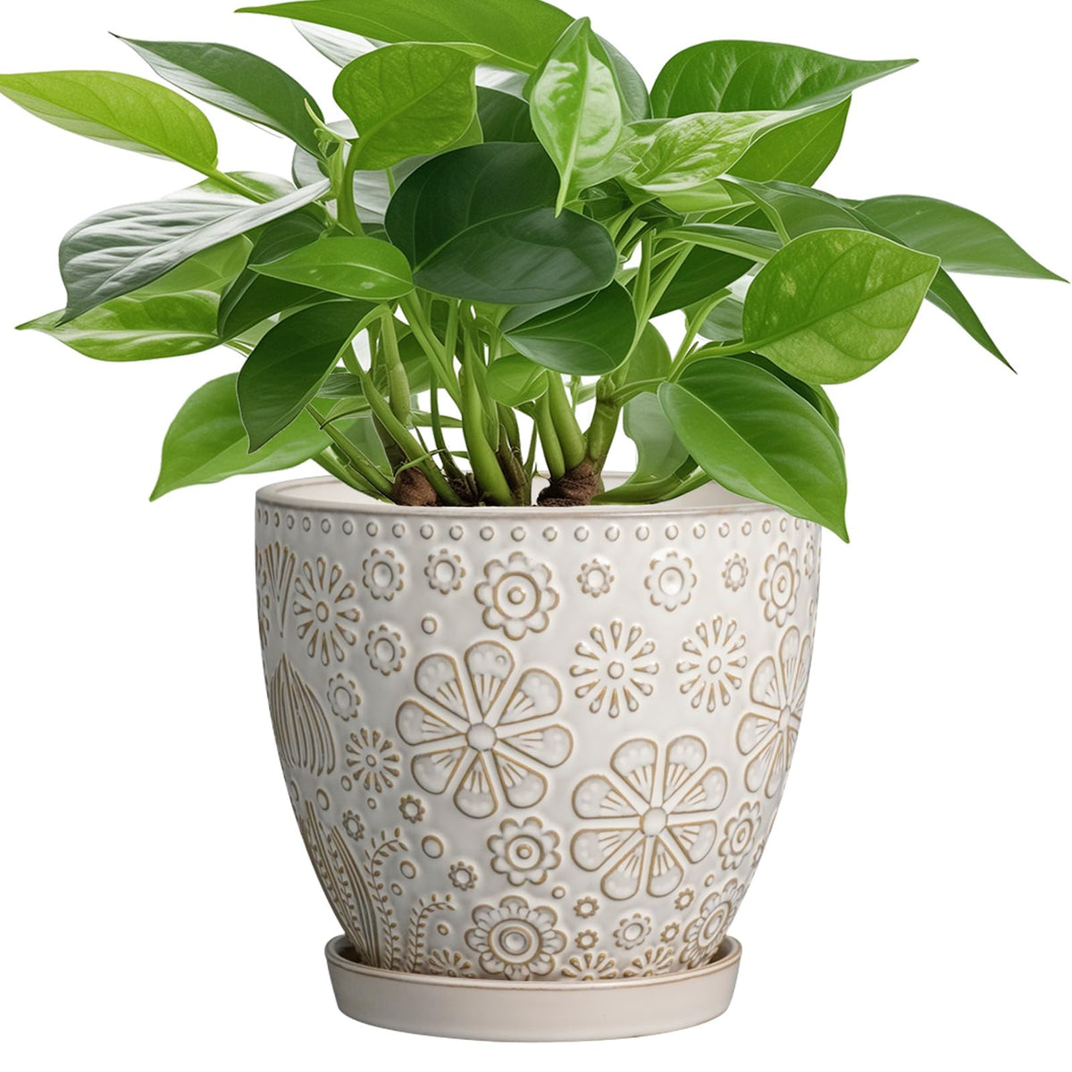 MPotTo 6.9 Inch Plant Pot with Drainage Hole and Saucer Ceramic Planter for Indoor Plant Flower Pot for Orchid Succulents Plants White