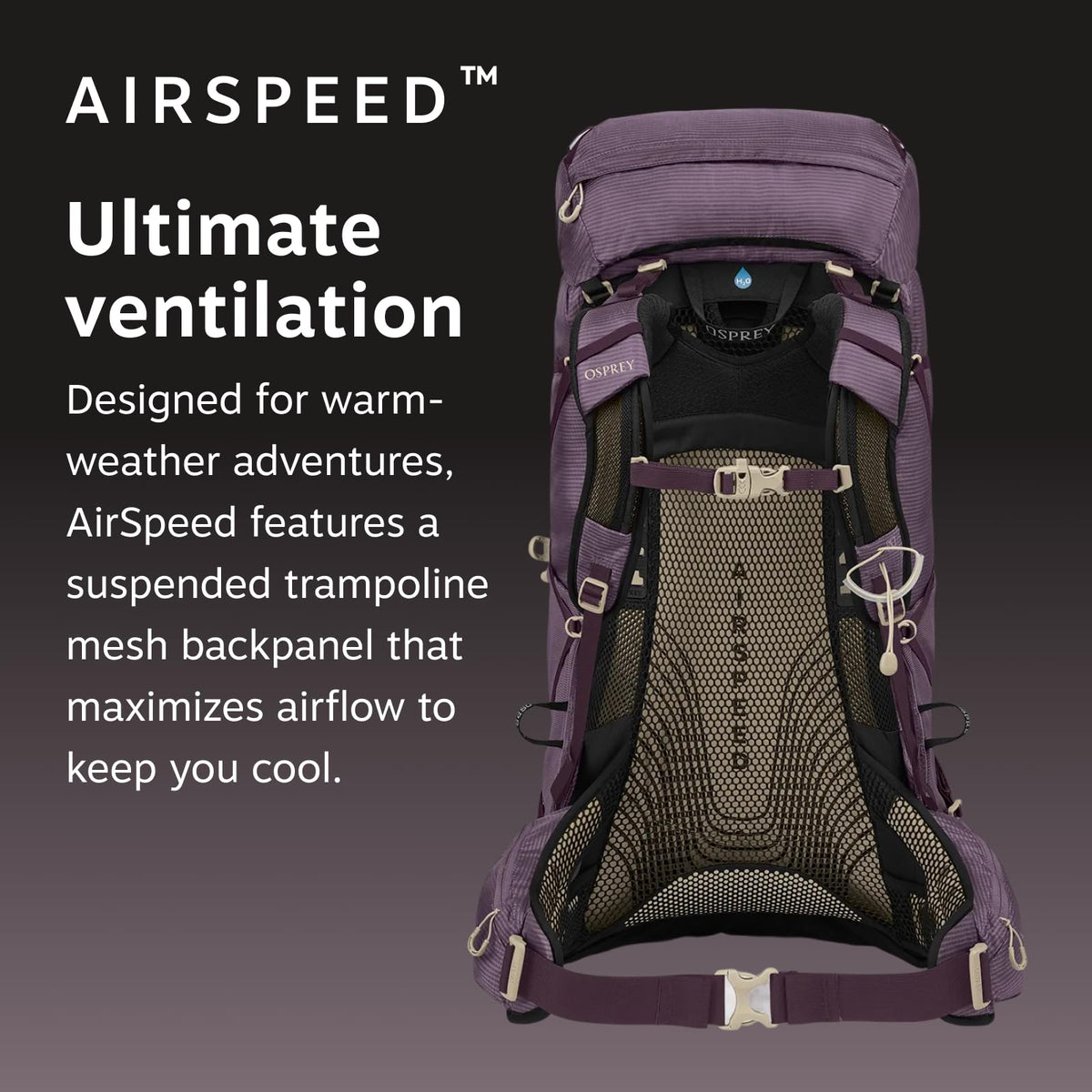 Osprey Hikelite 18L Durable Hiking Backpack - Travel Daypack with Rain Cover for Men and Women, Graphite Purple