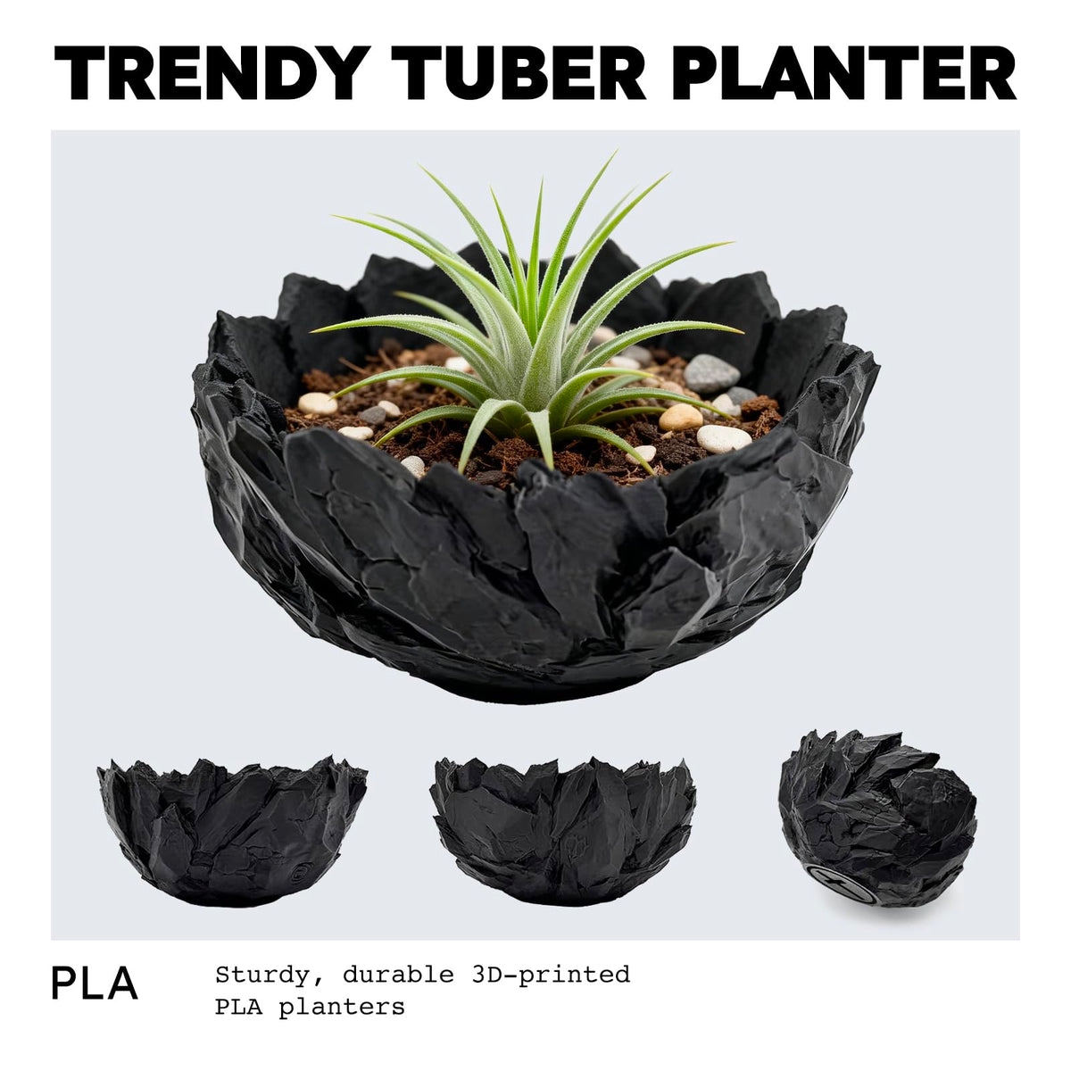 Dak Haan Succulent Pot with Drainage – Indoor Plant Pots, Artistic Design Flower Pots,Personalized Custom Mothers Day Plant Pot, Shallow Succulents Pots Bowls for Home, Office, Weddings & Party Décor