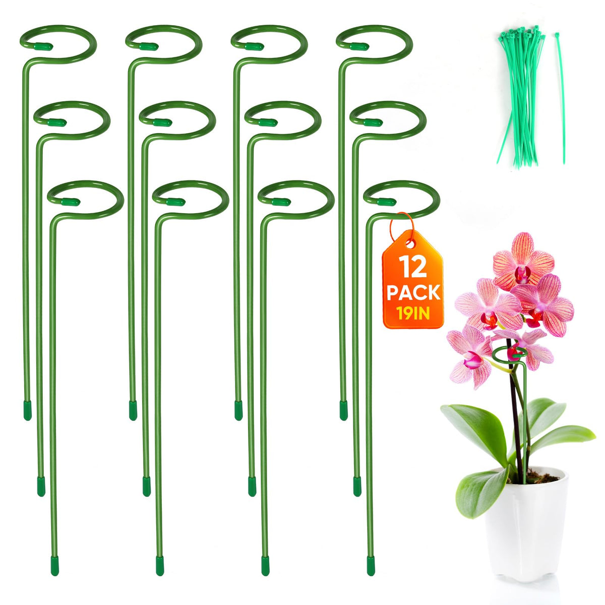12 Pack Plant Support Stakes with 24 Pcs Plant Clips, Garden Single Stem Support Stake, Plant Cage Support Ring for Indoor Outdoor Flowers Rose Amaryllis Tomatoes Peony Lily Orchid