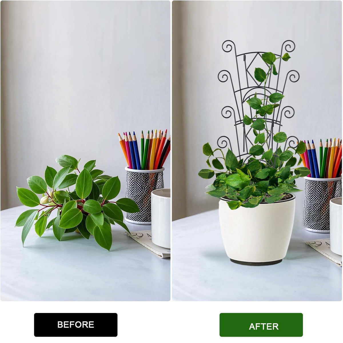 Yhtpouqe Stackable Plant Support Stakes, 2 Pack Metal Twig Plants Trellis for Indoor and Outdoor Use, Garden Accessories for House Potted Flower Monstera Trumpets 15.35 inch