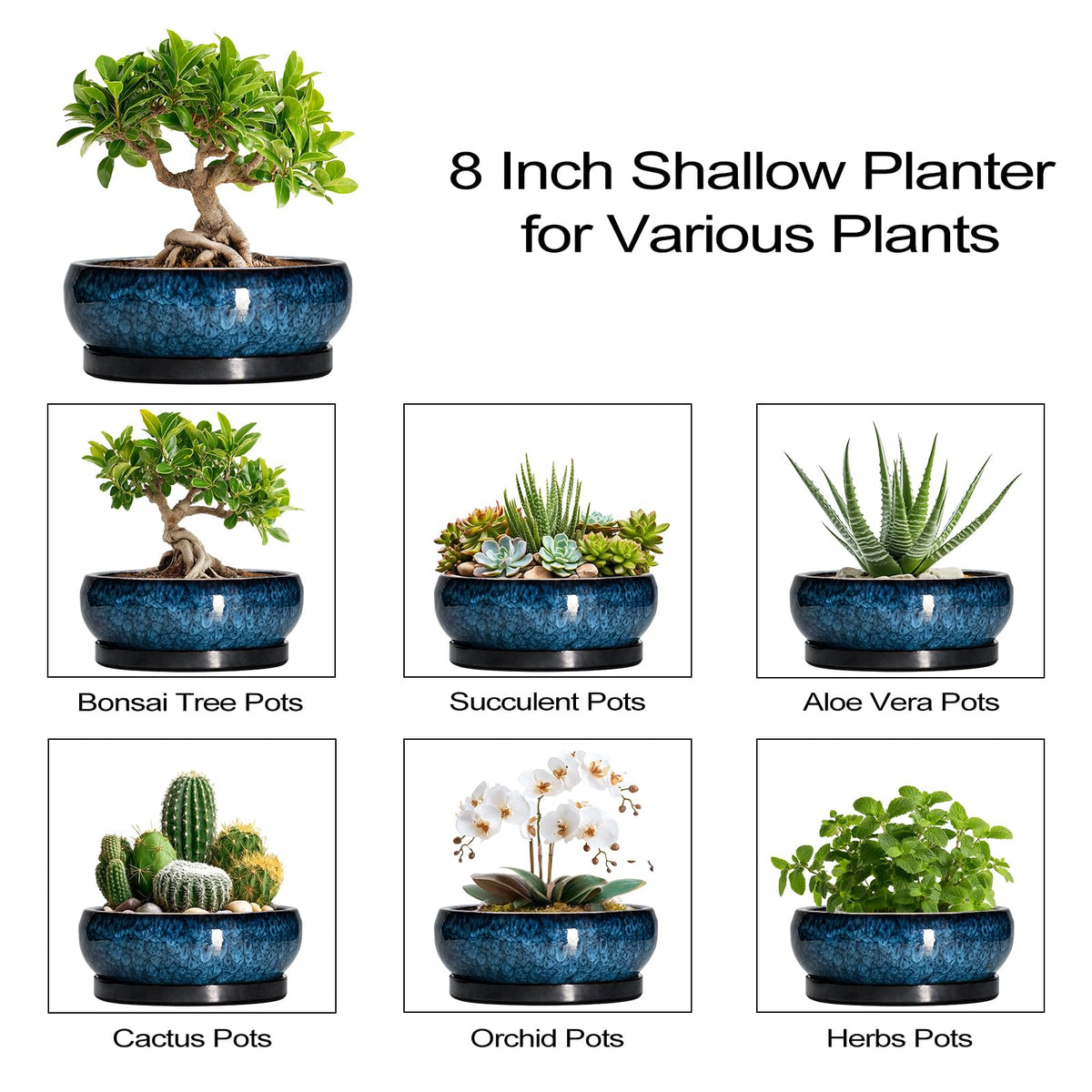 EPFamily Bonsai Pots 8 Inch - Ceramic Succulent Planter for Indoor Outdoor, Round Bonsai Planter with Drainage Hole and Saucer, Shallow Ceramic Planters Bowl, Patio Decor, Housewarming Gift, Blue