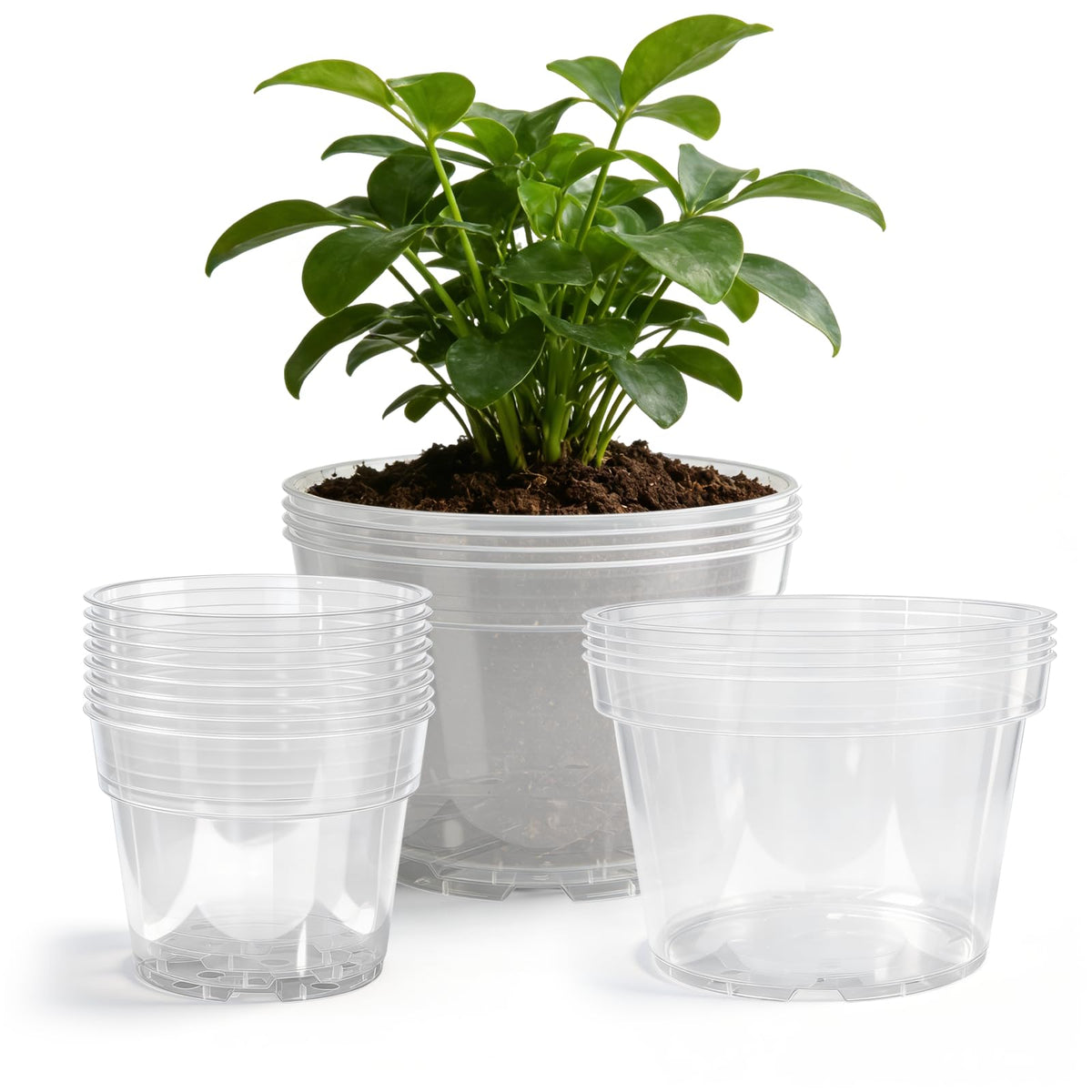 Gute 6/8/10 Inch Clear Nursery Pots with Drainage Holes (14 Pack), Reusable Plastic Plant Pots for Indoor & Outdoor Gardening, Ideal for Seedlings, Succulents, Vegetables, Orchids & More