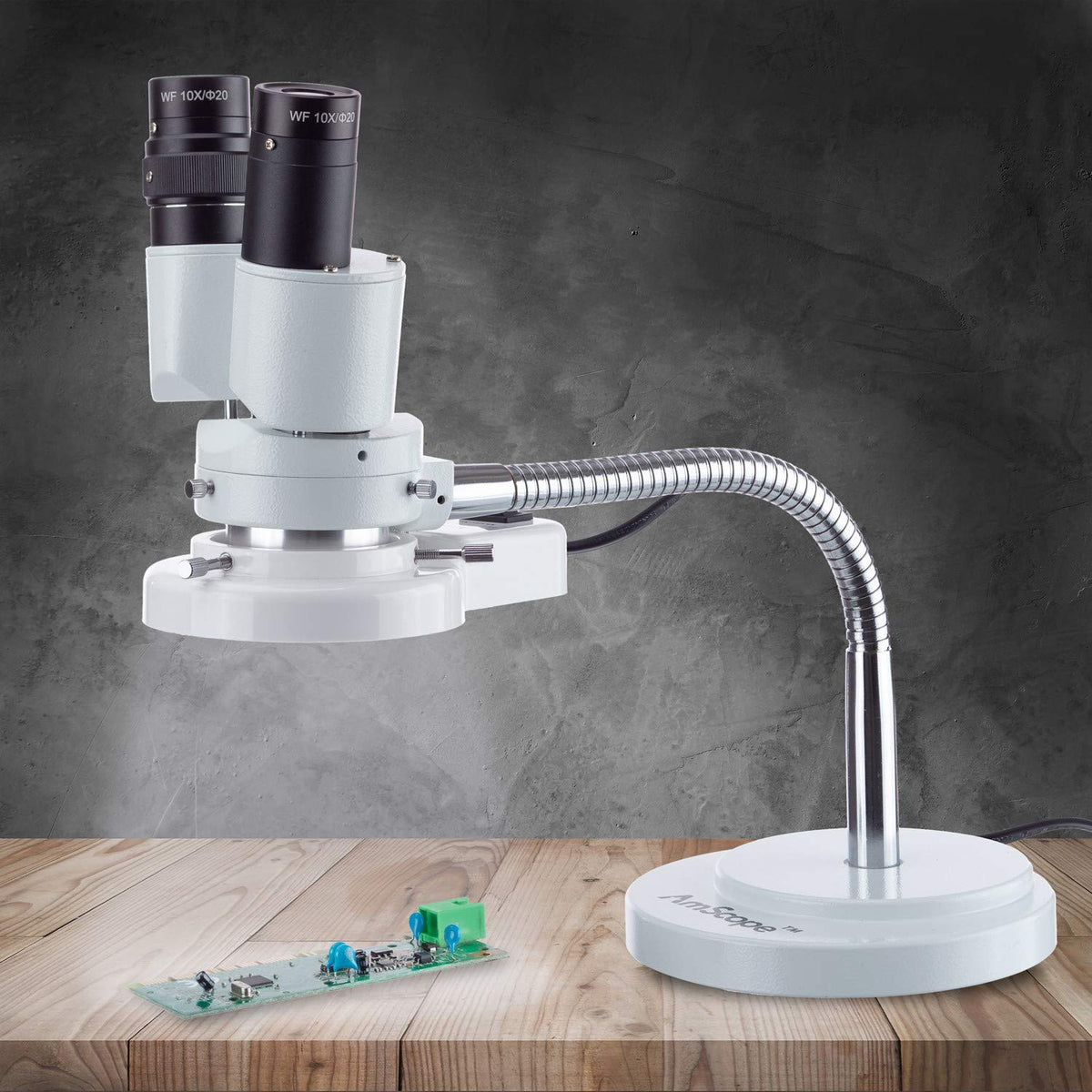 AmScope - 8X Binocular Stereo Microscope w/ 360 Revolve + 8W Fluorescent Ring Light - Gooseneck Illuminator Set for Dental, Lab, Electronic Repairs - SE508-FRL