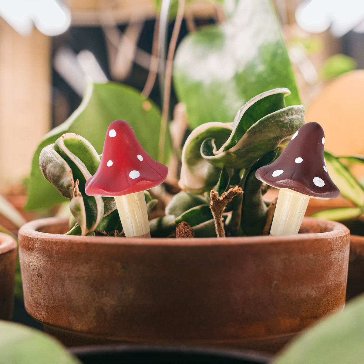 HOMYHEE Self Watering Spikes Mushroom Shaped Plant Watering Globes Irrigation Terracotta Watering Device Garden Waterer for Indoor Outdoor Plant 4 Packs